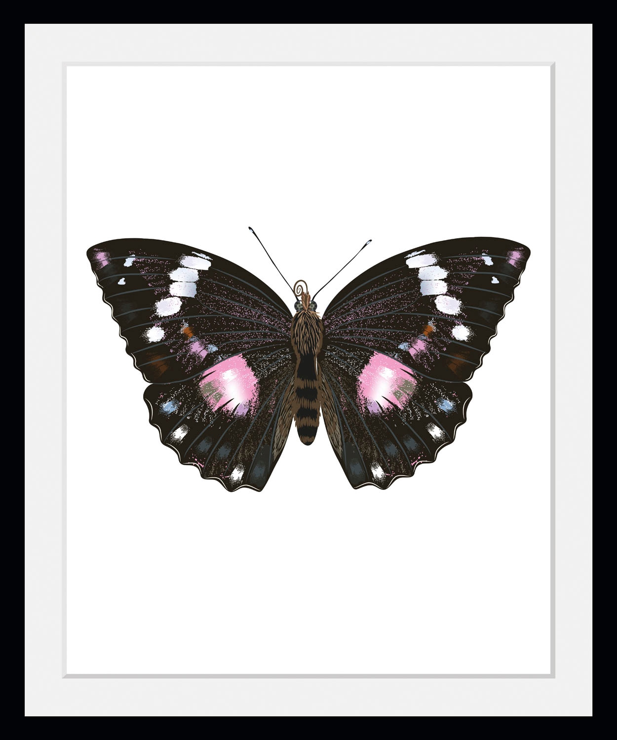 queence Bild »Marissa«, Schmetterlinge-Kunst-Insekten-historische Ereigniss günstig online kaufen