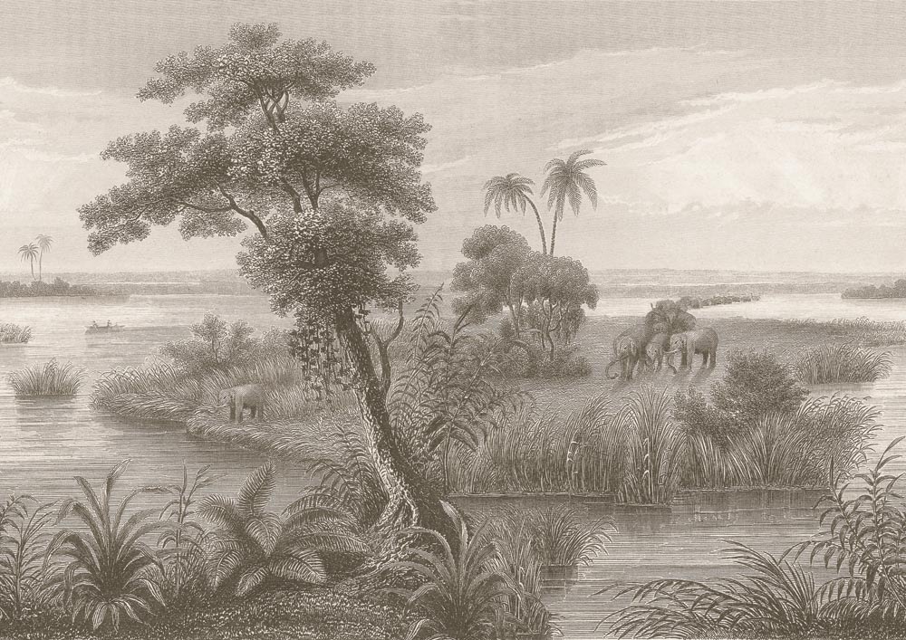 Rasch Fototapete »Vliestapete Lirirco 556155« tropisch glatt Dschungel günstig online kaufen