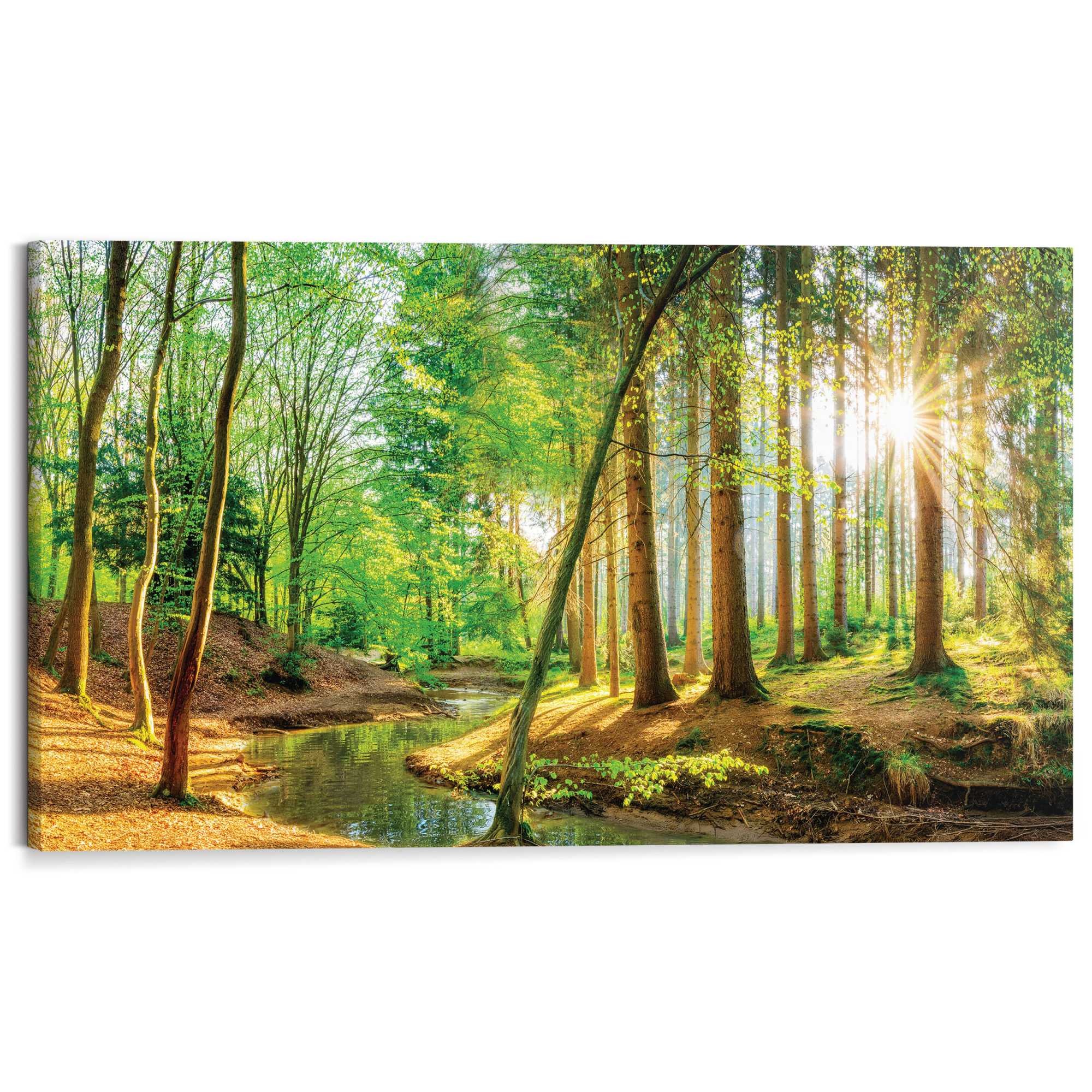 Reinders! Deco-Panel »Sonnenschein im Wald«, Hobbyraum - Grün - MDF - Wald günstig online kaufen