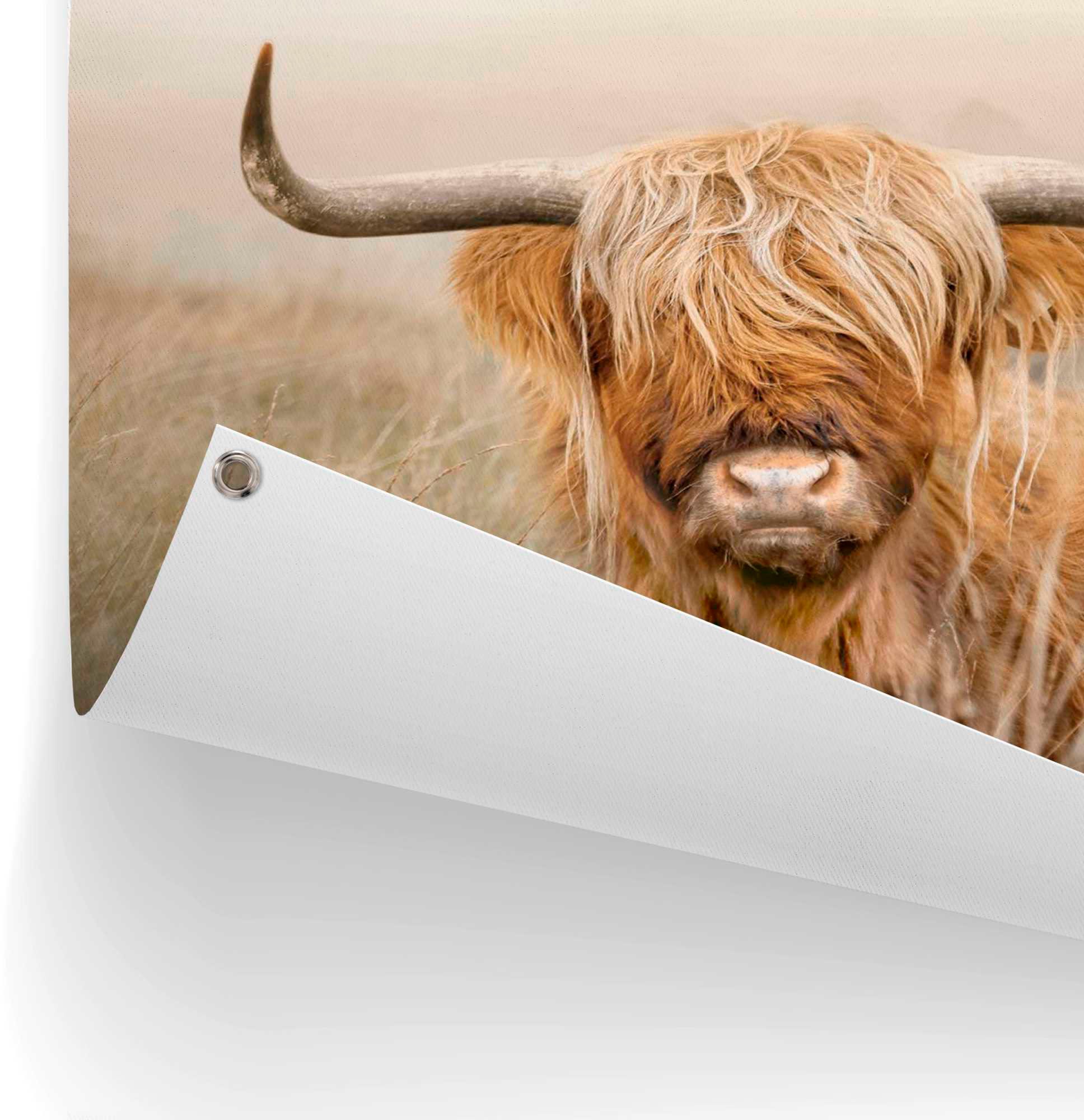 Reinders! Poster »Hochlandrind«