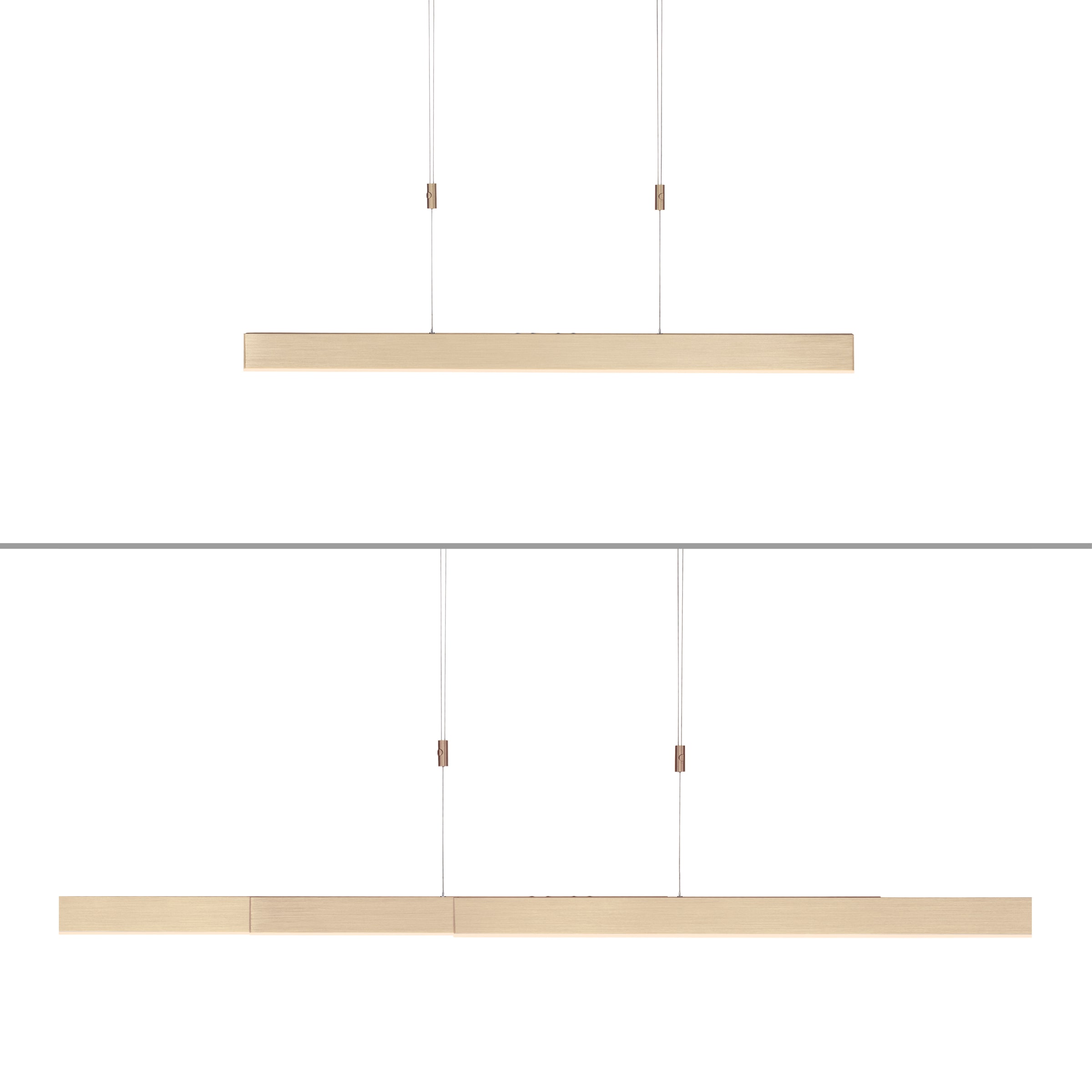 Neuhaus PURE LED Pendelleuchte »PURE Moto« LED-Board 1 Stk. warmweiß - kaltweiß e-SLIDE® Funktion, CCT, dimmbar, Fernbedienung