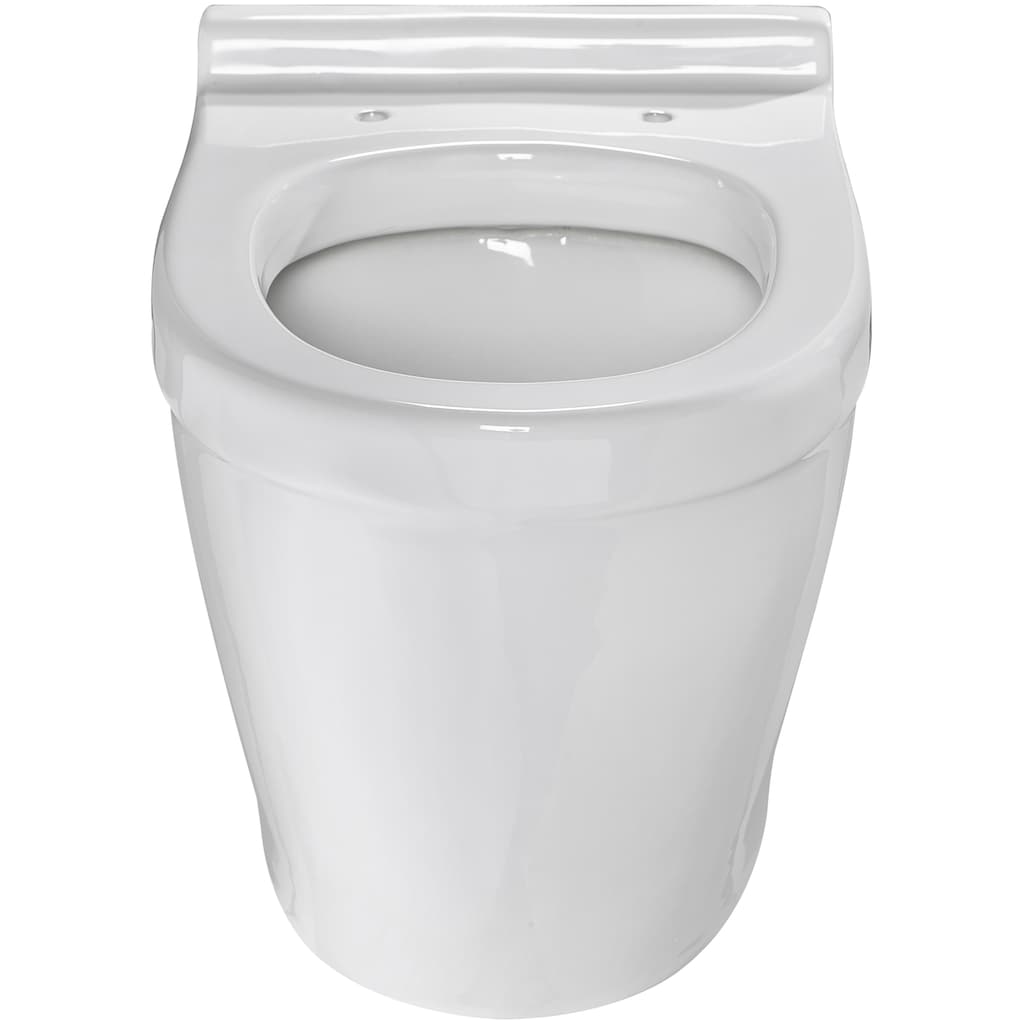 welltime Tiefspül-WC »Dover«, (Set), spülrandlose Toilette aus hochwertiger Sanitärkeramik, inkl. WC-Sitz