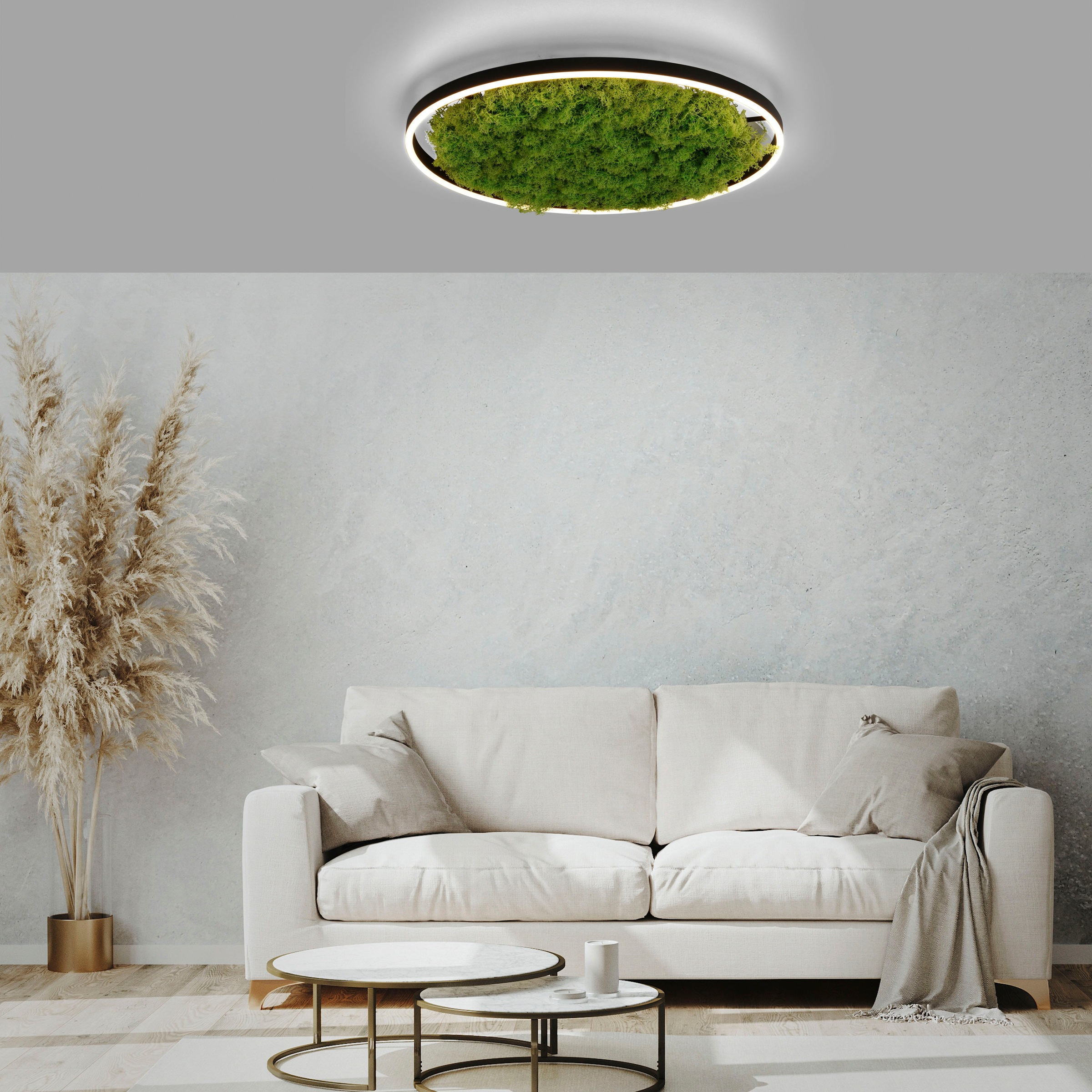 JUST LIGHT Deckenleuchte »GREEN RITU« LED-Board 1 Stk. Warmweiß günstig online kaufen