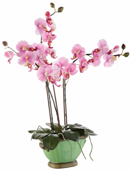 I.GE.A. Kunstpflanze »Orchidee«, (1 St.)