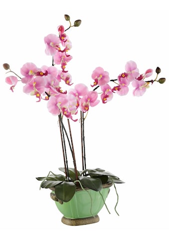 Kunstpflanze »Orchidee«