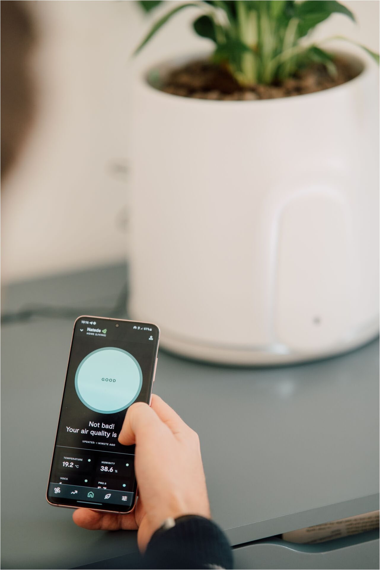 Vitesy Luftreiniger »Natede Smart – Smarte Luftreinigung und stilvoller Blumentopf«, für 20 m² Räume, Waschbarer Filter, App-Steuerung, Selbstbewässerung Blumentopf