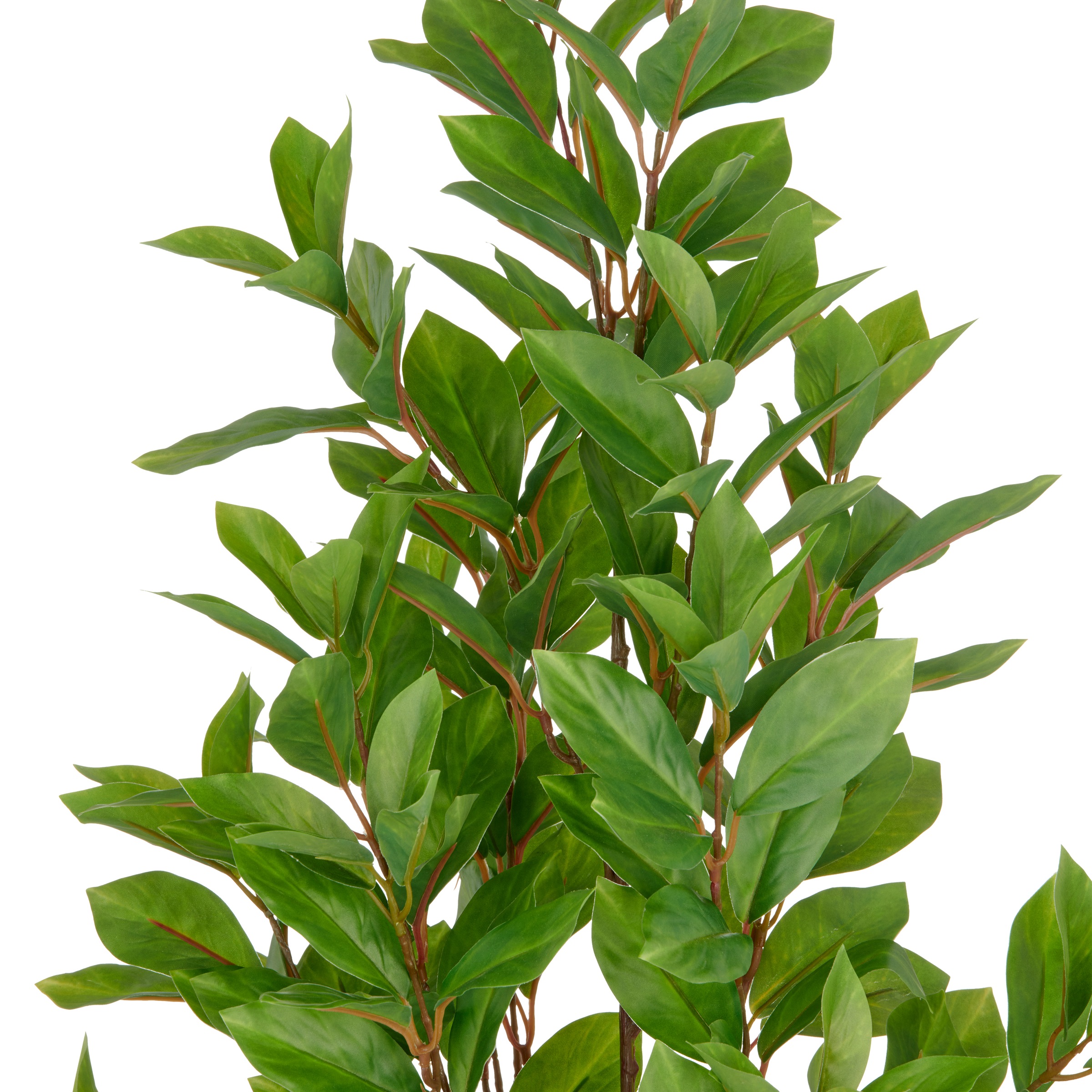 Creativ green Kunstpflanze »Epipremnum« mit schönem Blattwerk günstig online kaufen