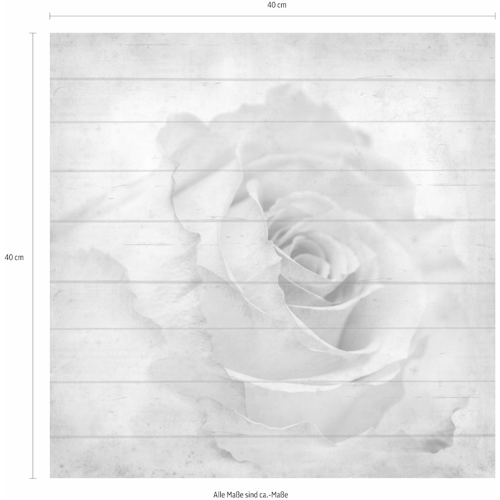 Home affaire Holzbild »Rose seitliche«, 40/40 cm