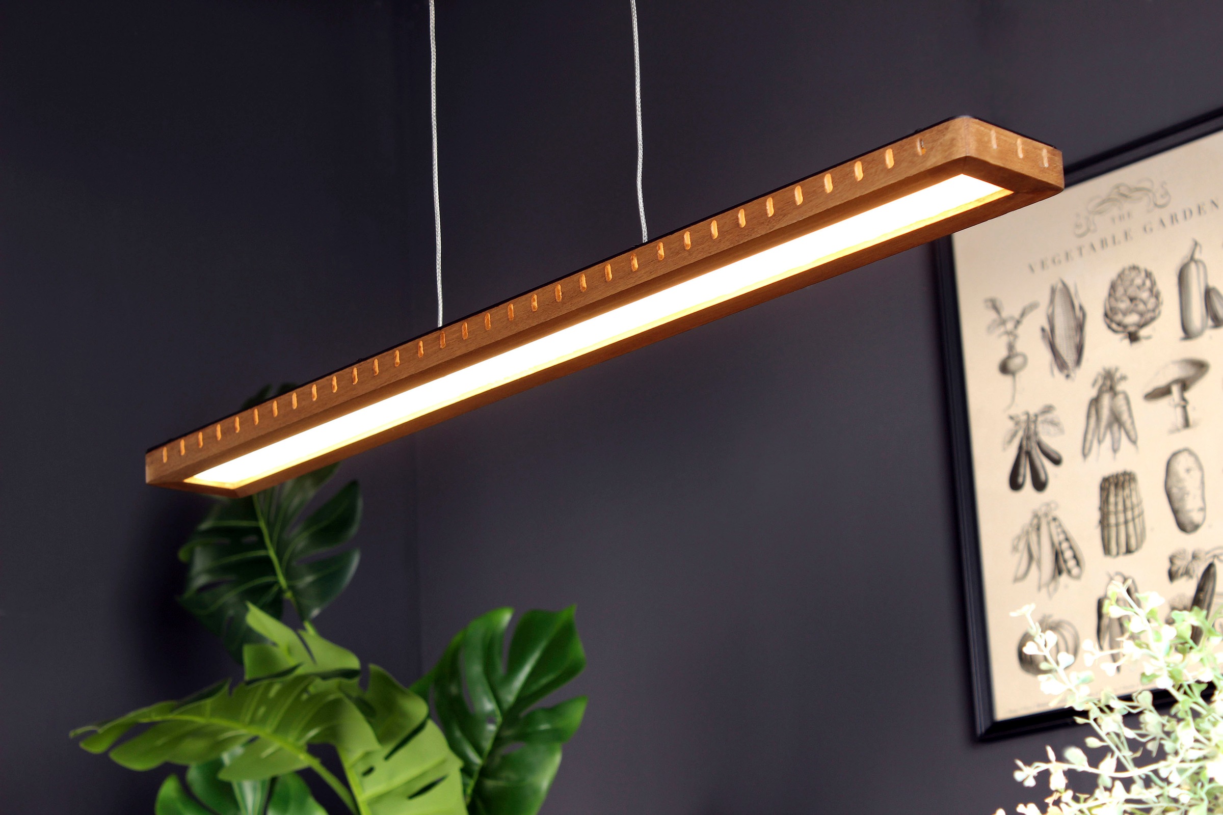 ECO-LIGHT LED Pendelleuchte »Solaris«, Leuchtmittel LED-Modul | LED fest integriert