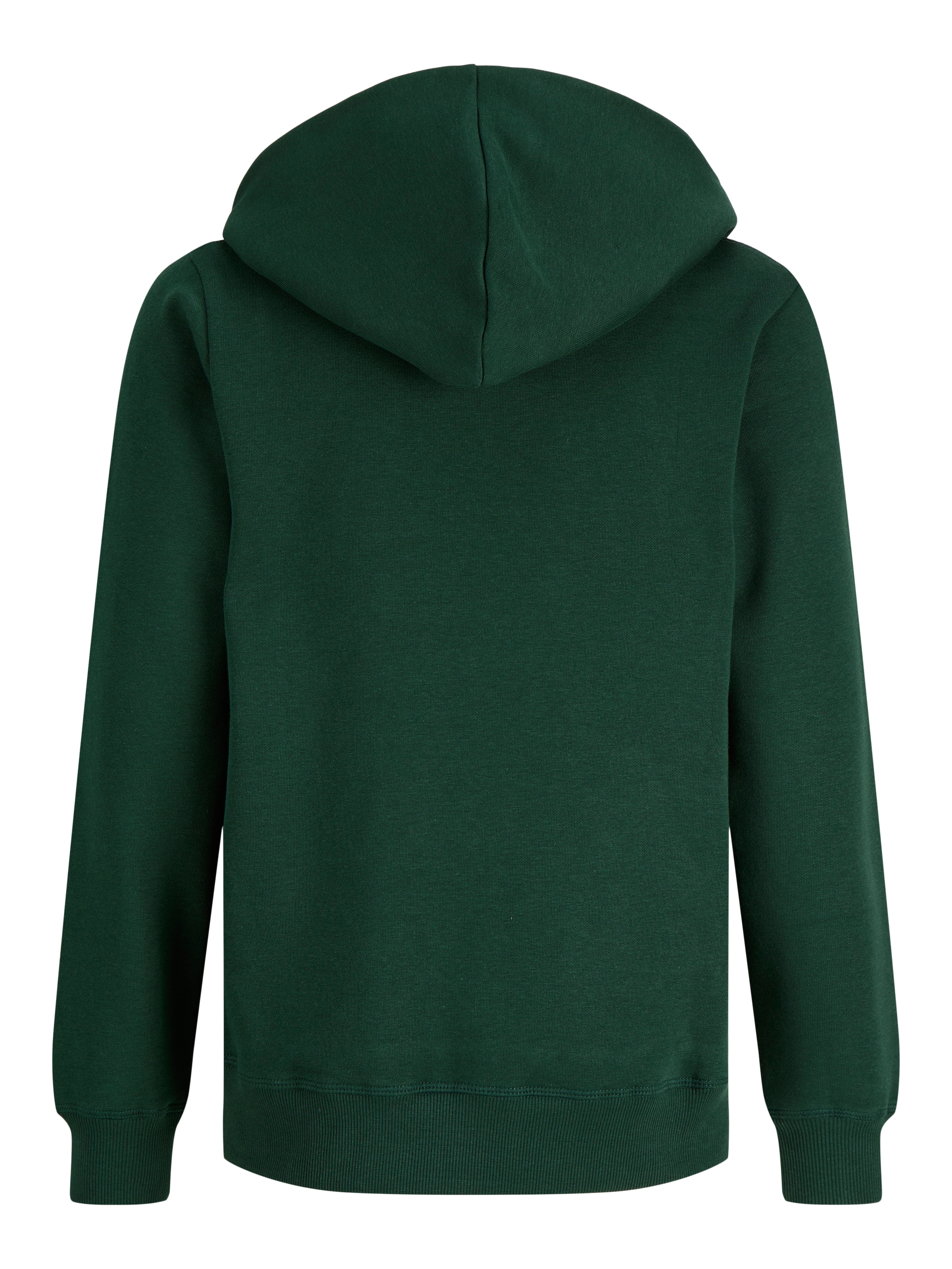 Jack & Jones Junior Kapuzensweatshirt »JORFREDERIKSBERG GRAPHIC BOX SH JNR«, Baumwollmischung, regular fit
