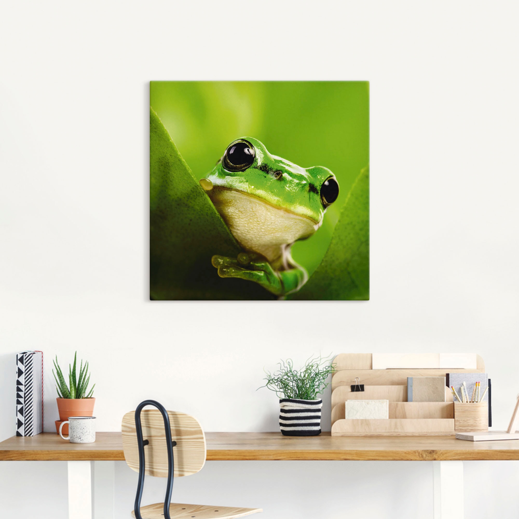 Artland Wandbild »Ausspähender Frosch«, Wassertiere, (1 St.), als Leinwandb günstig online kaufen