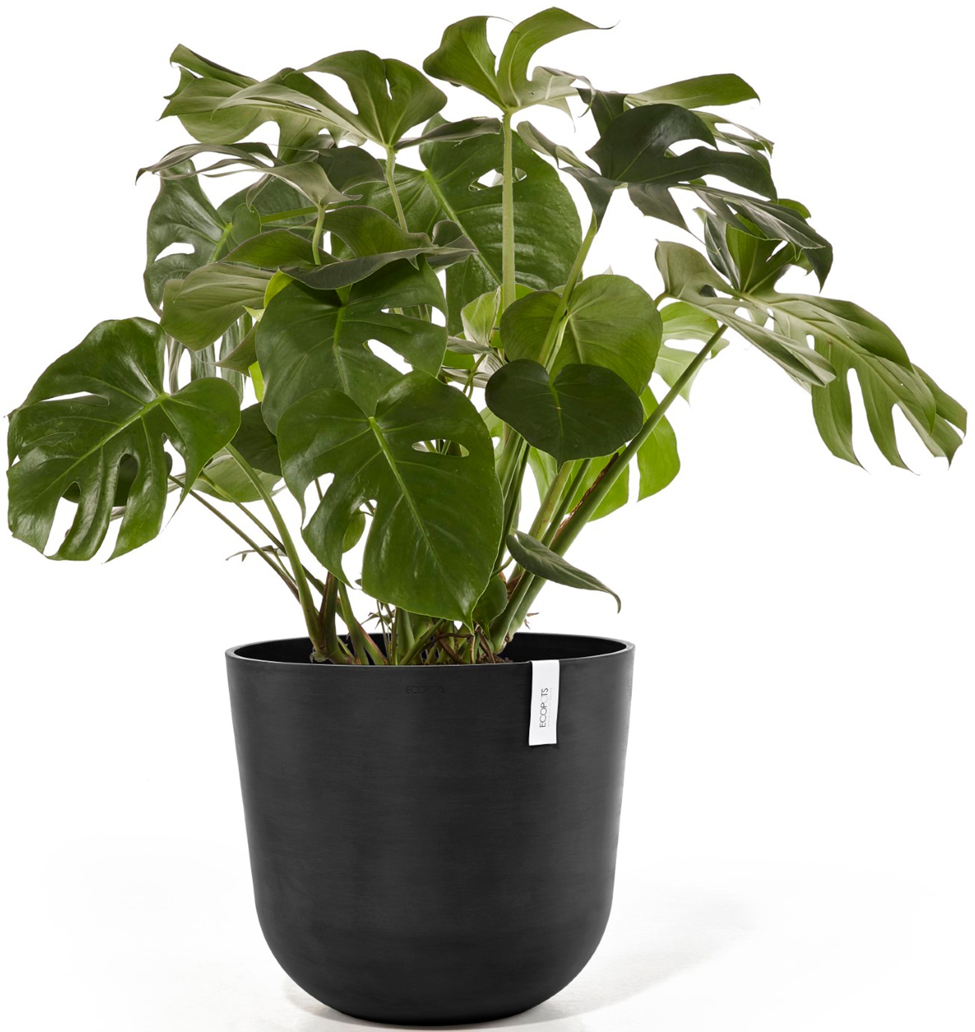 ECOPOTS Blumentopf »Oslo 55 + Wassersystem Dunkelgrau«, für innen und außen: frostsicher, bruchsicher und lichtbeständig