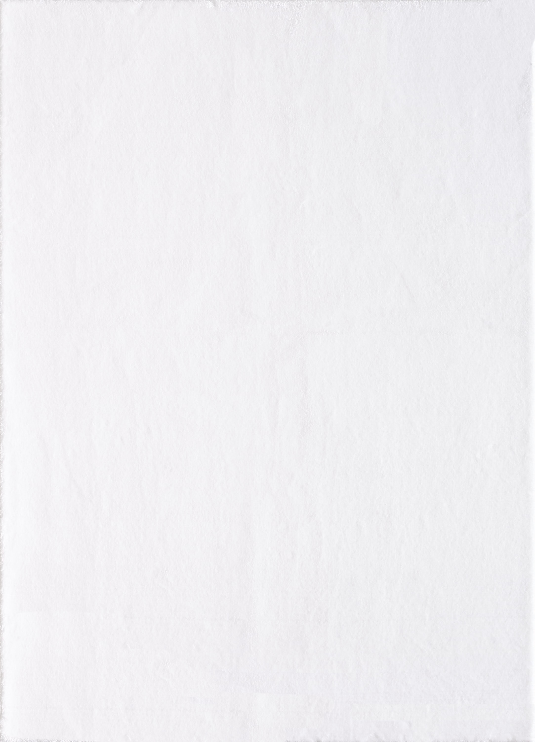 Ayyildiz Teppiche Teppich »CATWALK 2600«, rechteckig, 25 mm Höhe, Besonders weich / Soft Flor / waschbar, Kaninchenfell Haptik