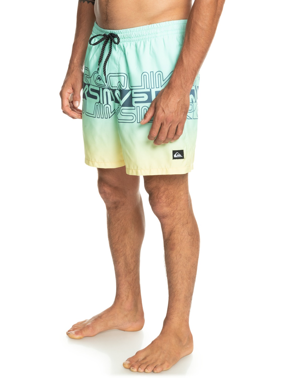 Quiksilver Boardshorts »Everyday Wordblock 17"«