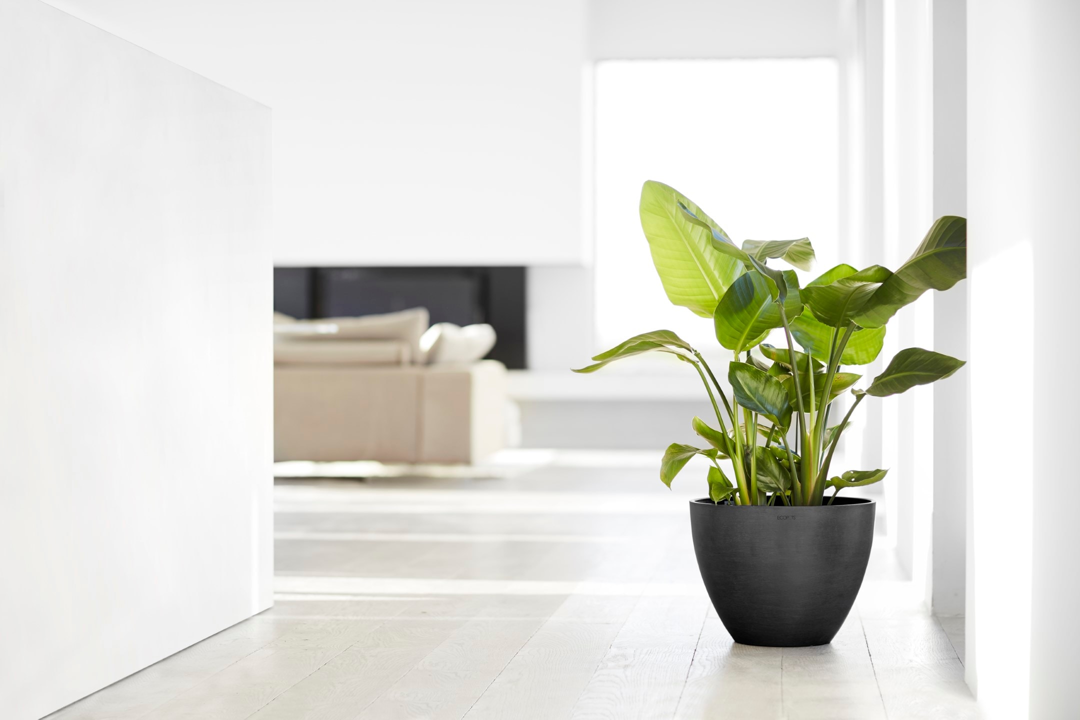 ECOPOTS Blumentopf »ANTWERP Dark Grey«, BxTxH: 40x40x30 cm