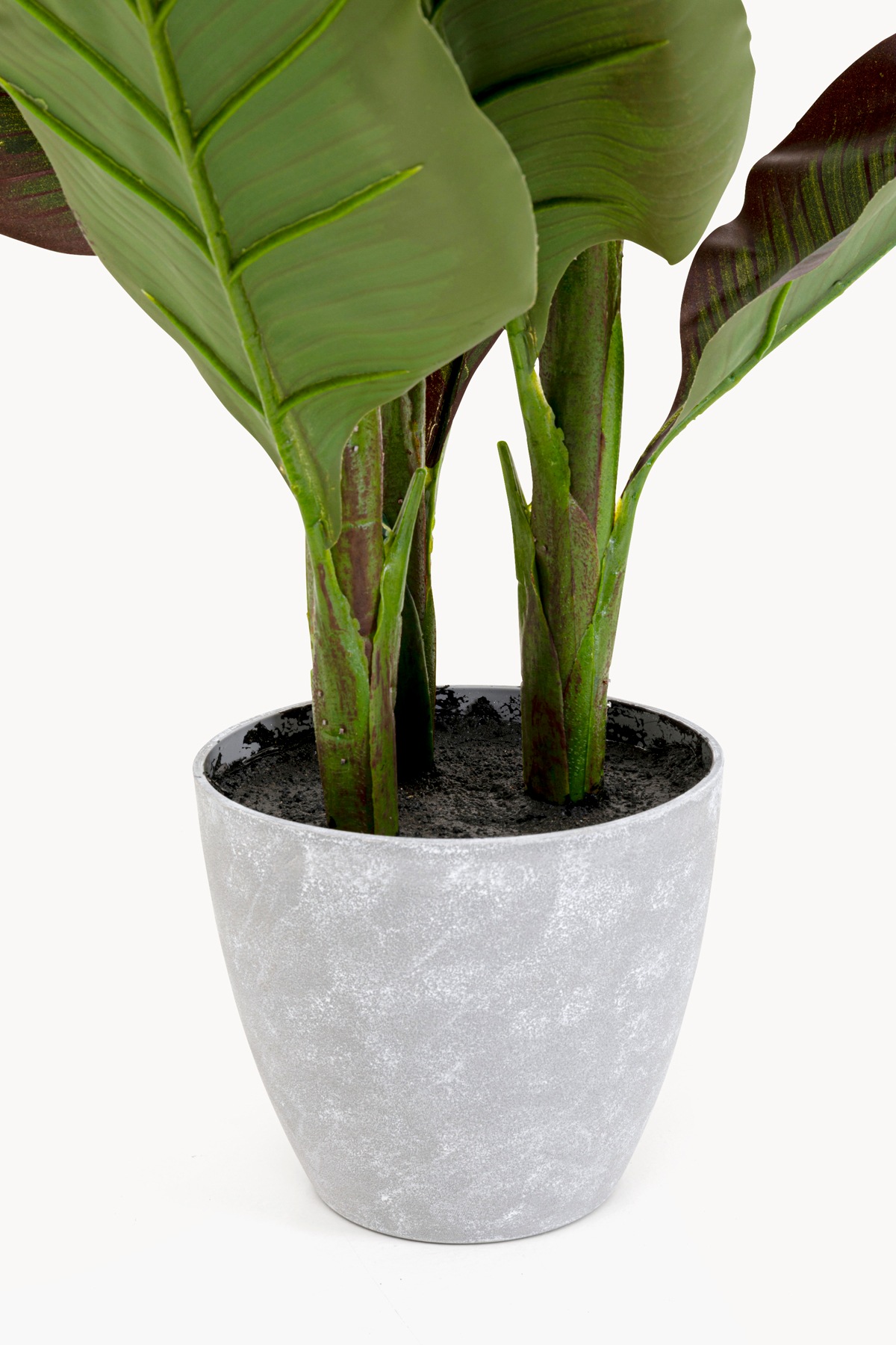 Kare Design Künstliche Zimmerpflanze »Deko-Pflanze Canna Lily« 115 oder 165 cm Höhe