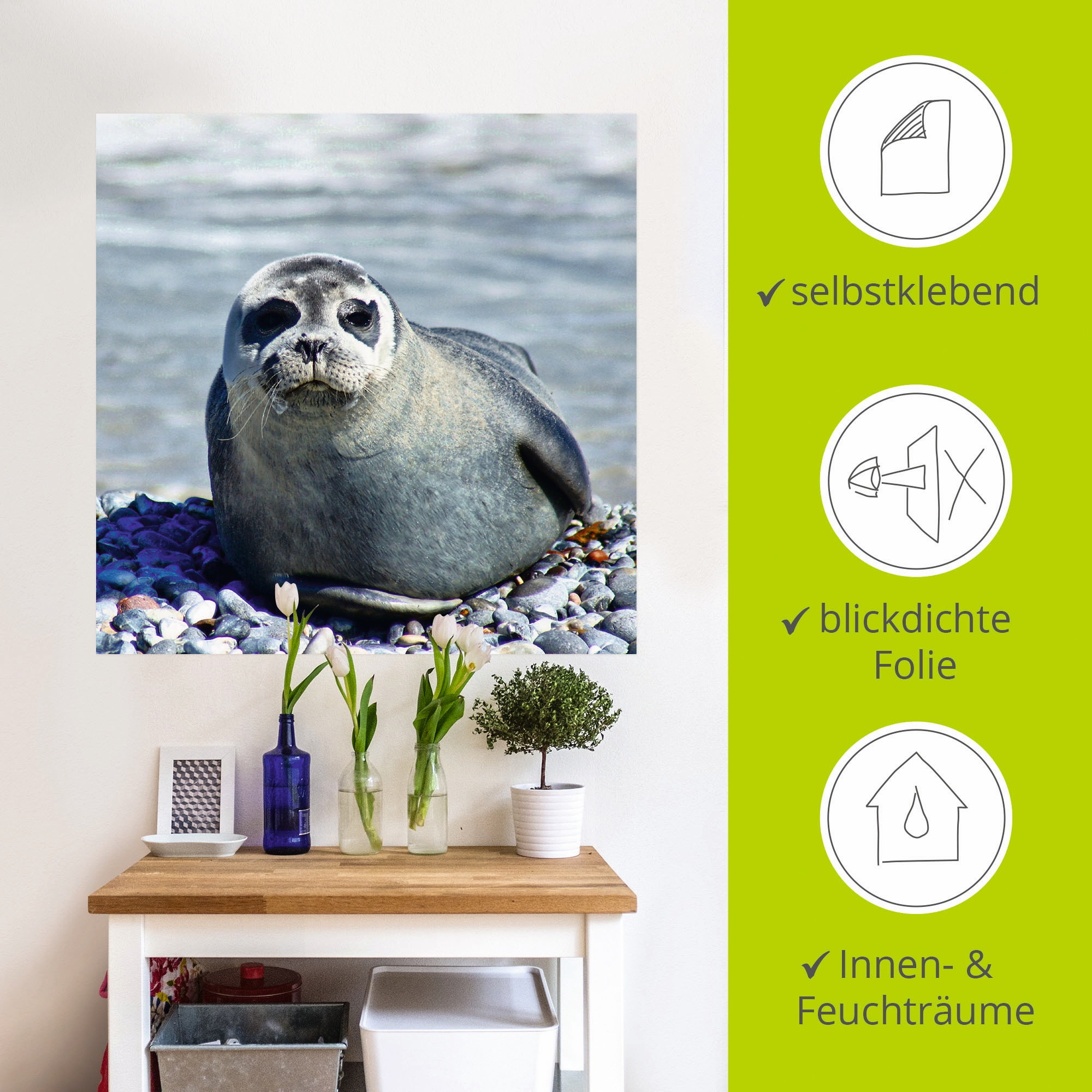 Artland Wandbild »Robbe am Strand von Helgoland«, Wassertiere, (1 St.), als Wandaufkleber in verschied. Größen