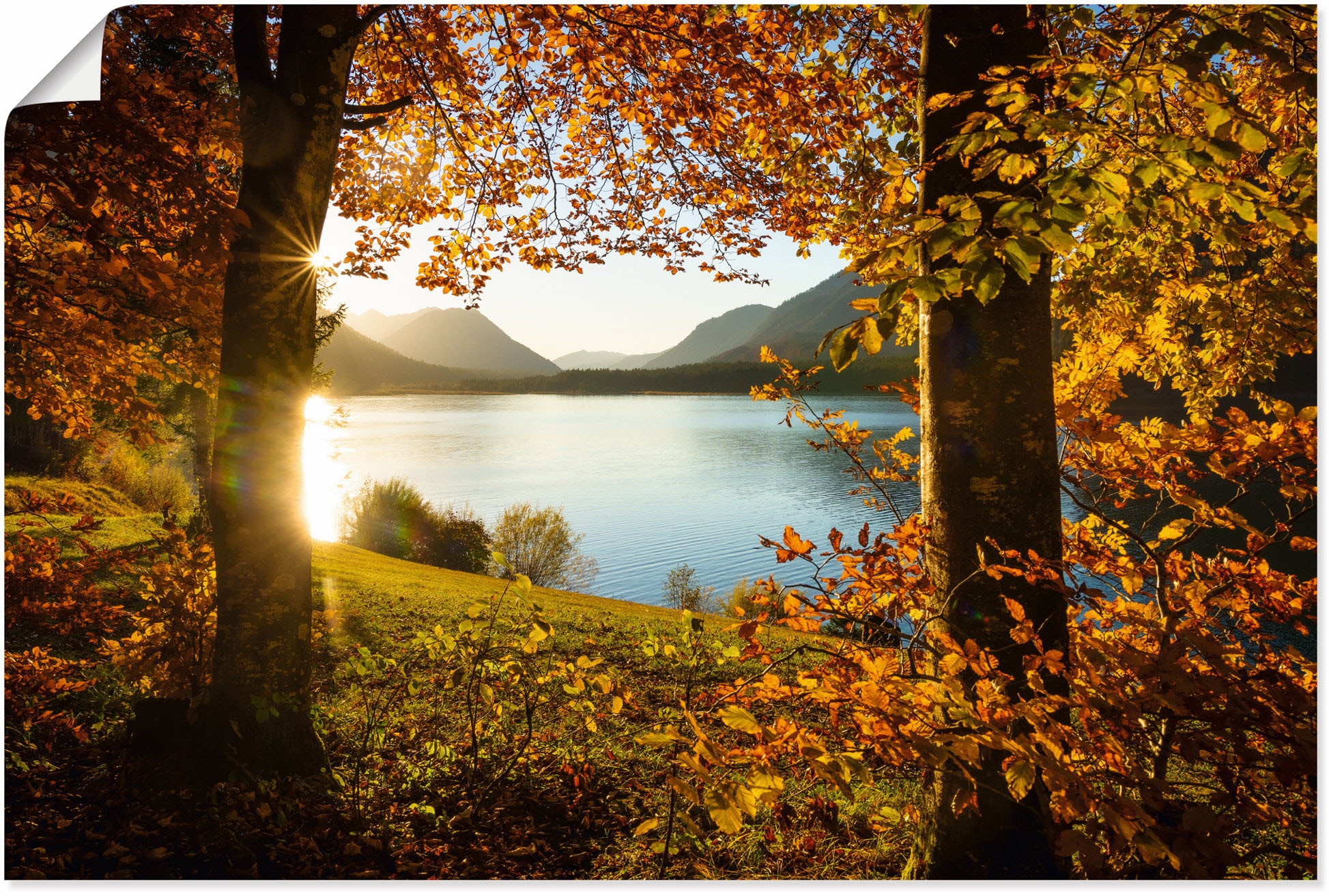 Artland Wandbild »Herbst am Sylvensteinsee«, Gewässer, (1 St.), als Alubild, Outdoorbild, Leinwandbild, Poster in verschied. Größen