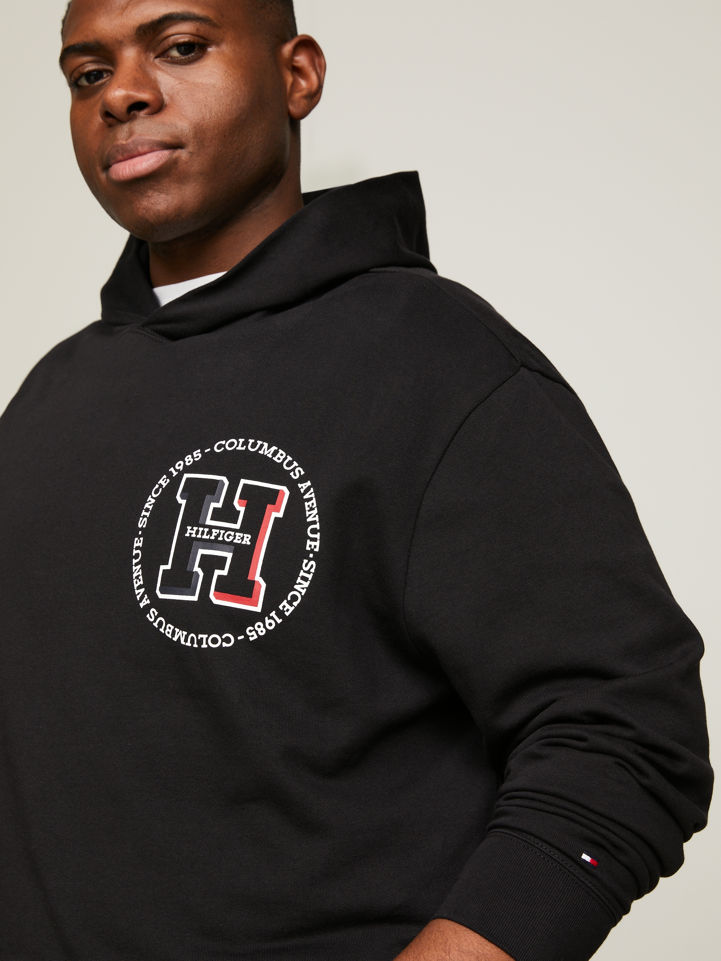 Tommy hilfiger big logo hoodie sales