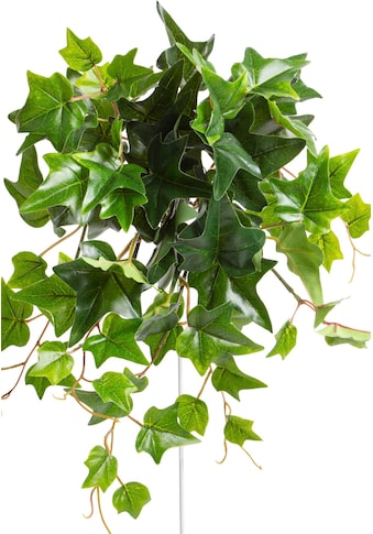 Botanic-Haus Künstliche Zimmerpflanze »Efeu-Hängebusch mit 9 Stielen«, (1 St.) kaufen