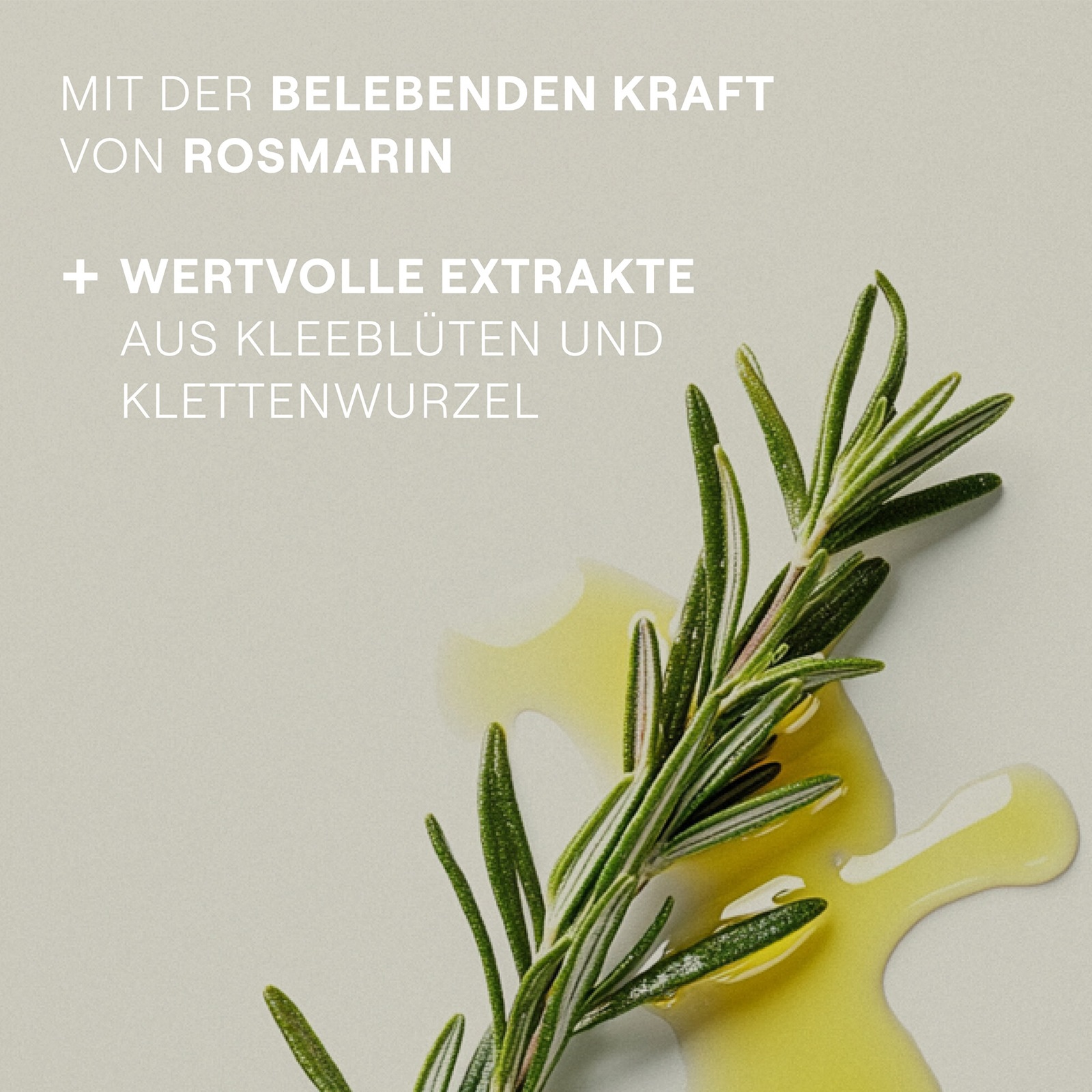 WELEDA Haaröl »Intensiv pflegendes Haaröl«