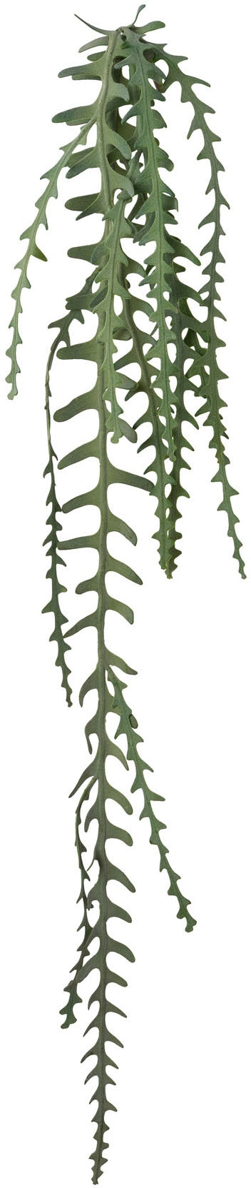 Creativ green Kunstgirlande »Epiphyllumranke«, (1 St.) kaufen