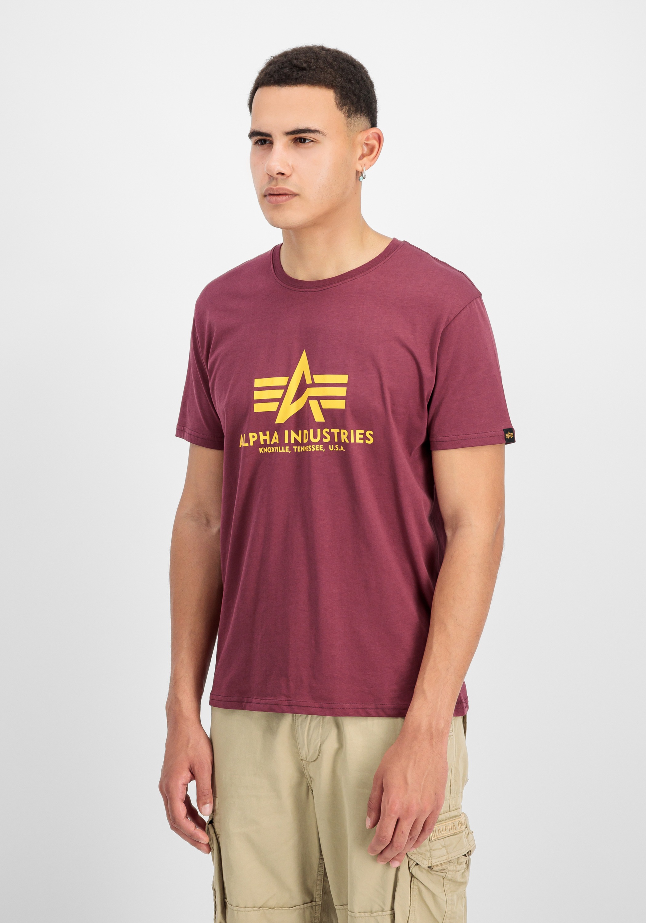 Alpha Industries T-Shirt »Basic T-Shirt BL«