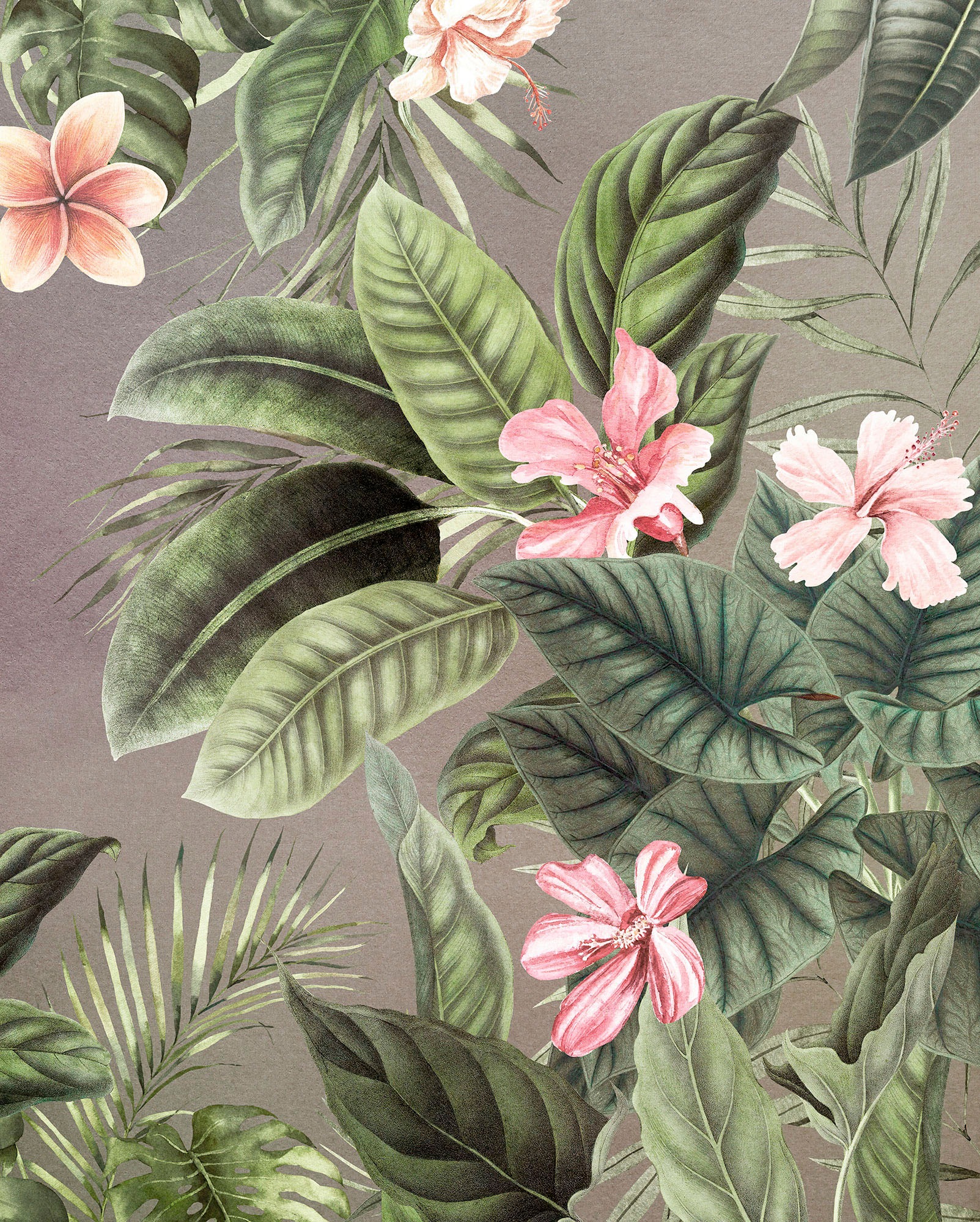 Komar Fototapete »Digitaldruck Vlies - Large Bloomed - Größe 200 x 250 cm« günstig online kaufen