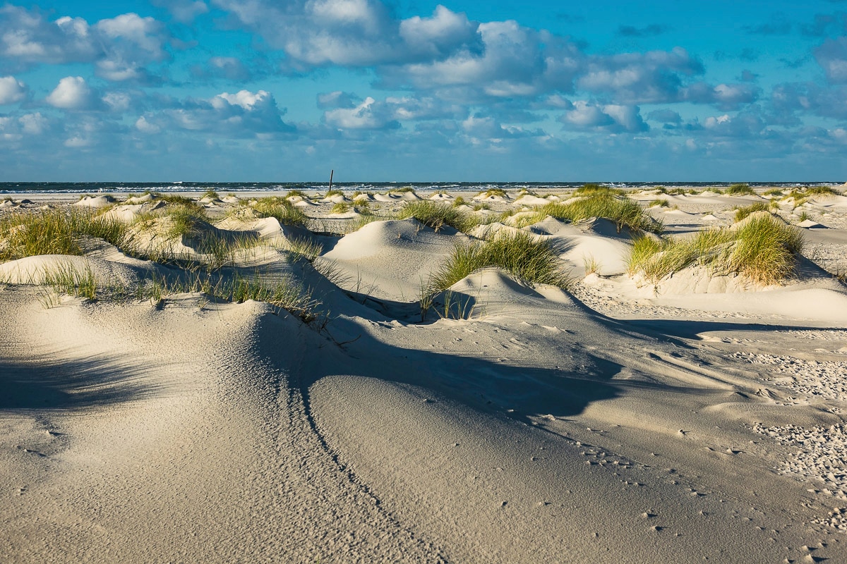 Papermoon Fototapete »DÜNEN-NATUR NORD SEE SAND STRAND MEER WÜSTE LANDSCHAF günstig online kaufen