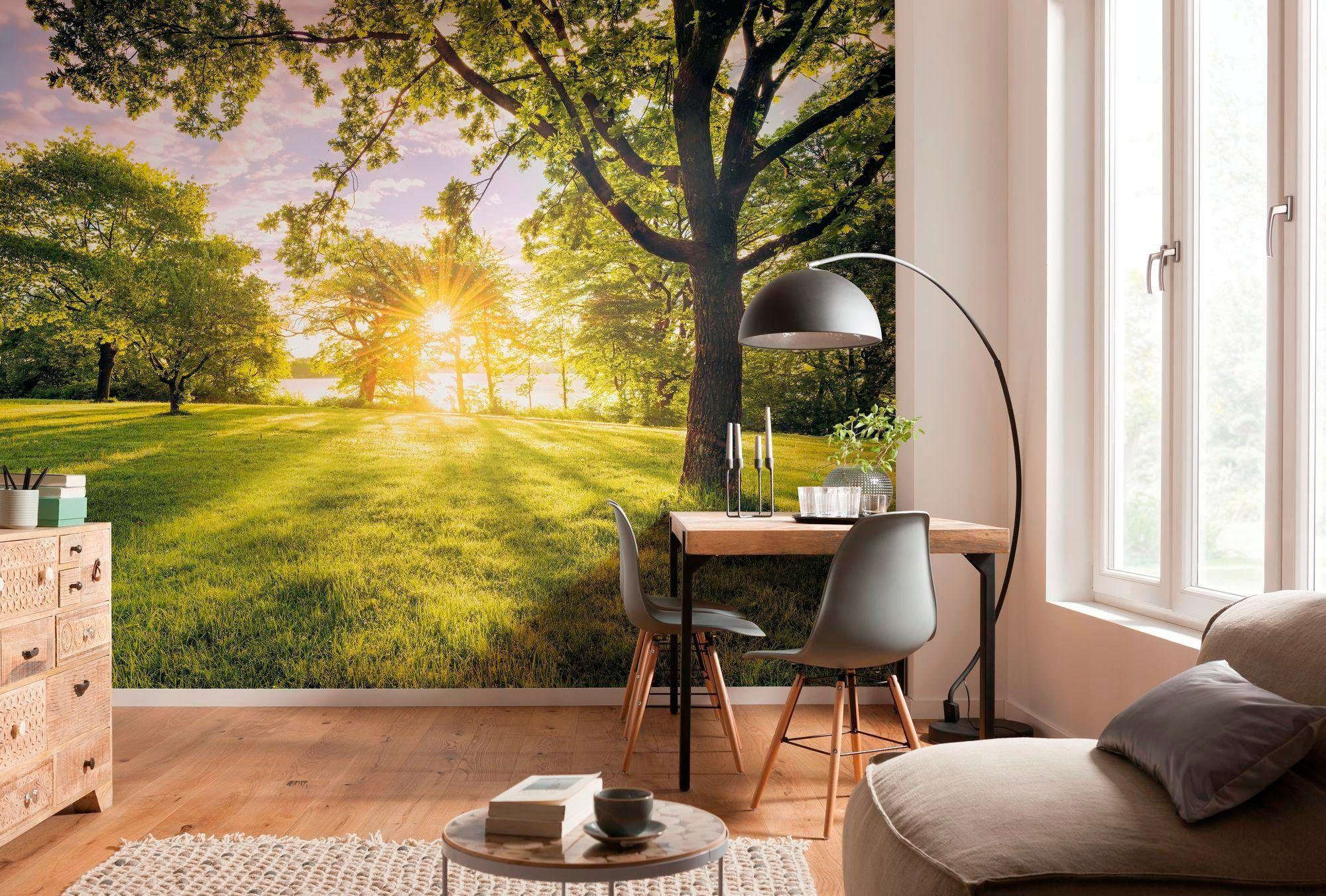 Komar Vliestapete »Golden Moment«, 400x250 cm (Breite x Höhe), Vliestapete, günstig online kaufen