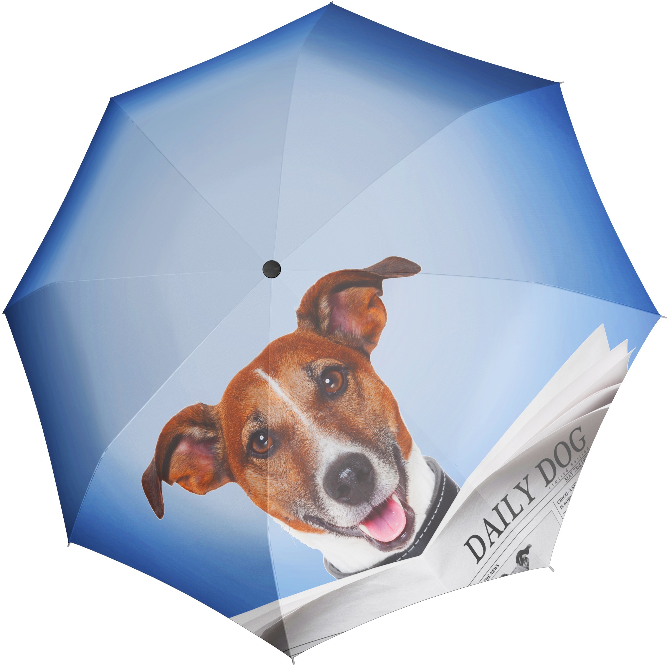 doppler® Taschenregenschirm »Modern Art Magic Mini, Daily Dog« bequem  kaufen