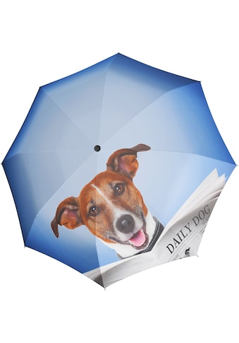 doppler® Taschenregenschirm »Modern Art Magic Mini, Daily Dog« kaufen