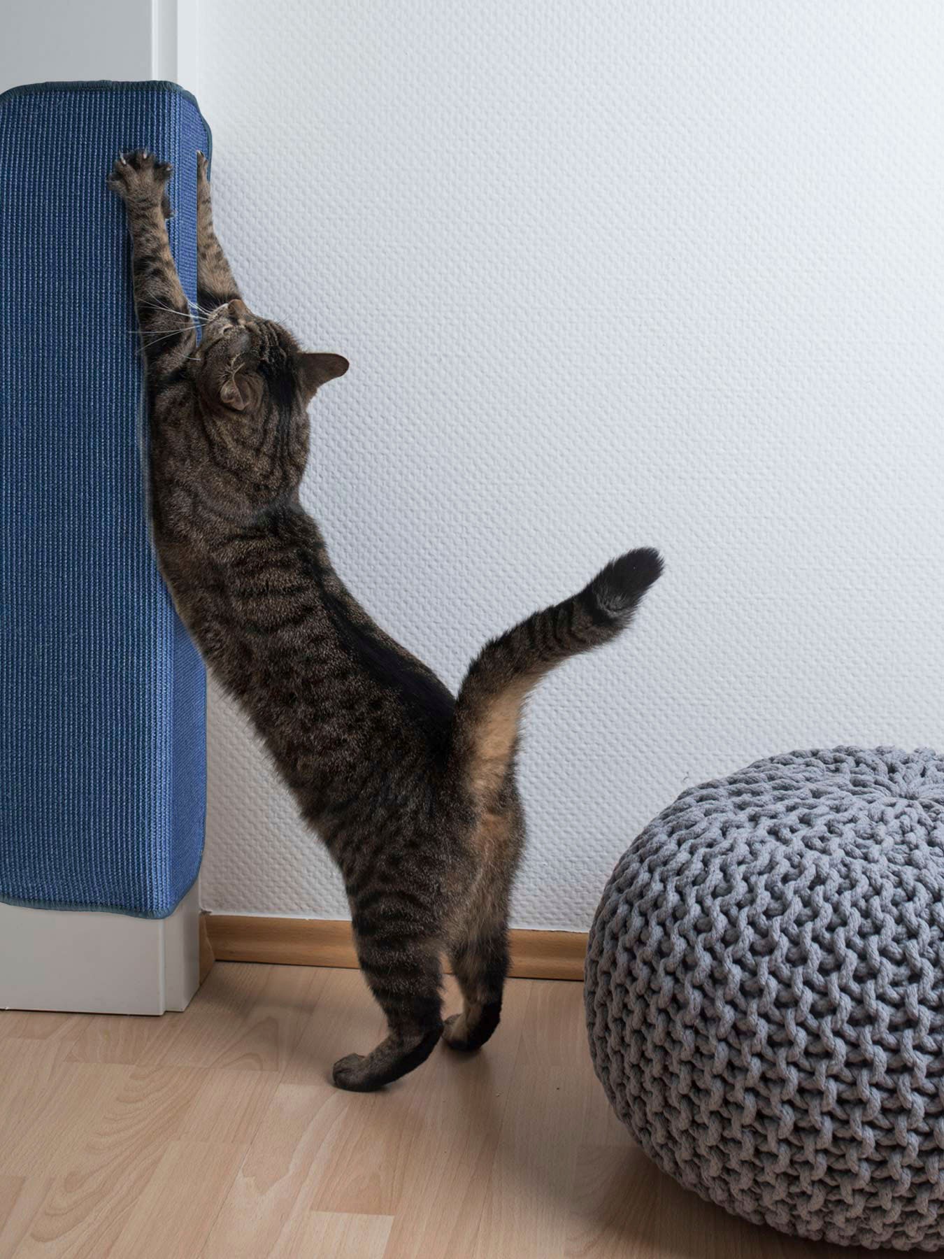 Kratzbrett "Katzen-Kratzmatte SISALLUX, Made in Netherlands", blau, B/H/L: 140cm x 0,6cm x 200cm