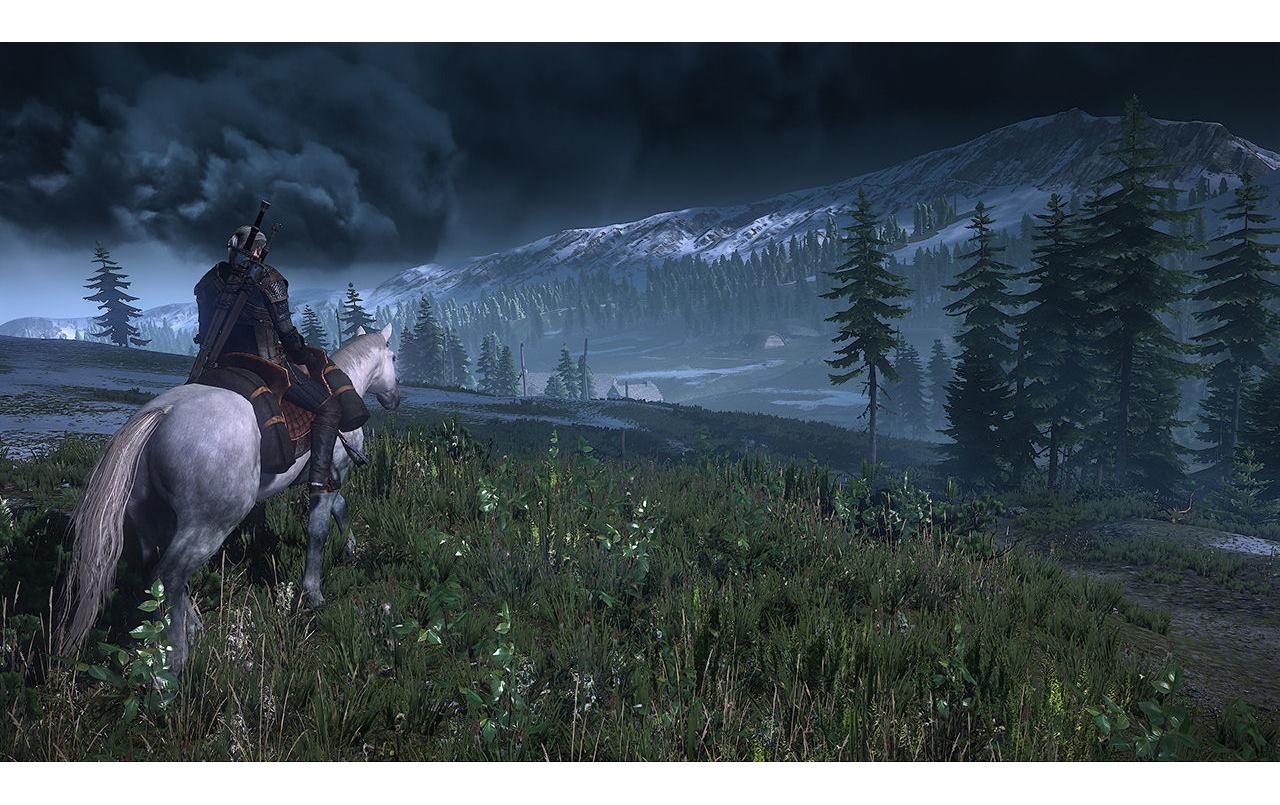 BANDAI NAMCO Spielesoftware »The Witcher 0,125 Wild Hunt, Switch« Nintendo Switch