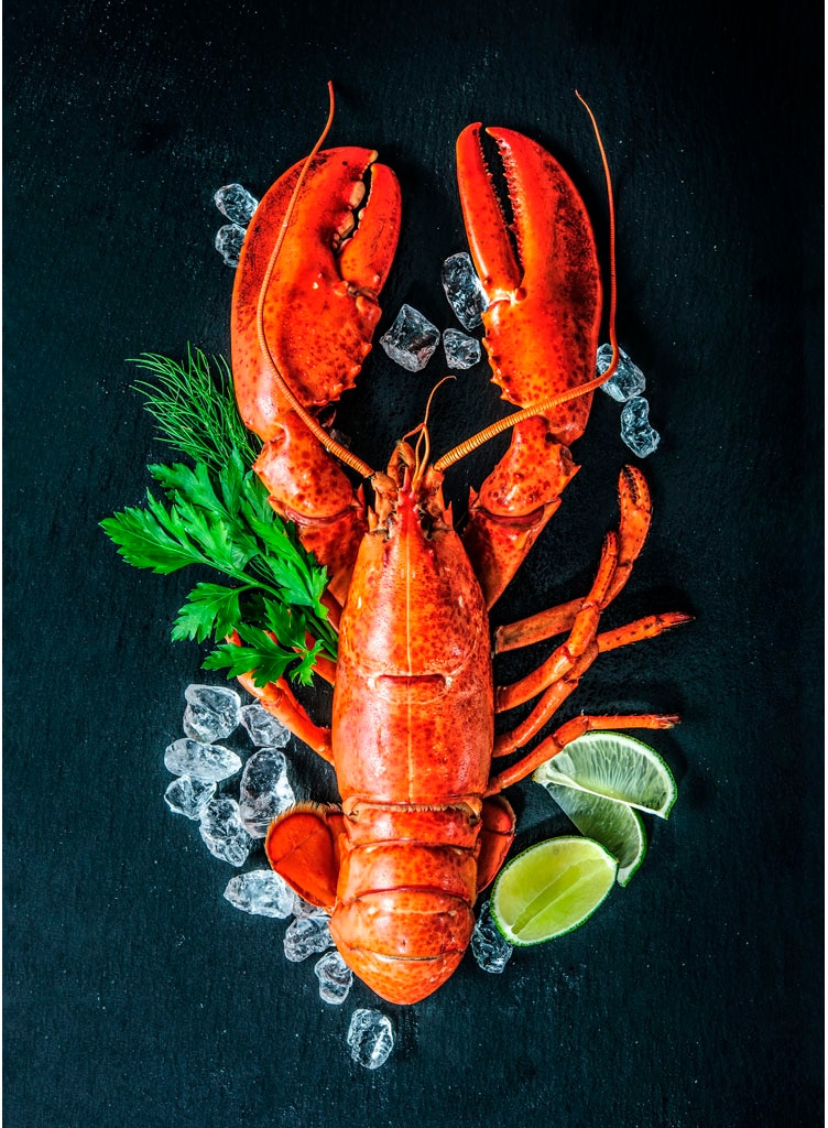 Egeria Geschirrtuch »Küchentuch Digitalprint« 2x 50x70 cm, MADE IN GREEN by OEKO-TEX®-zertifiziert