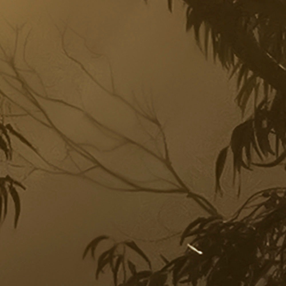 Komar Fototapete »Digitaldruck Vlies - Foggy Sunshine - Größe 400 x 250 cm«, bedruckt, Wohnzimmer, Schlafzimmer