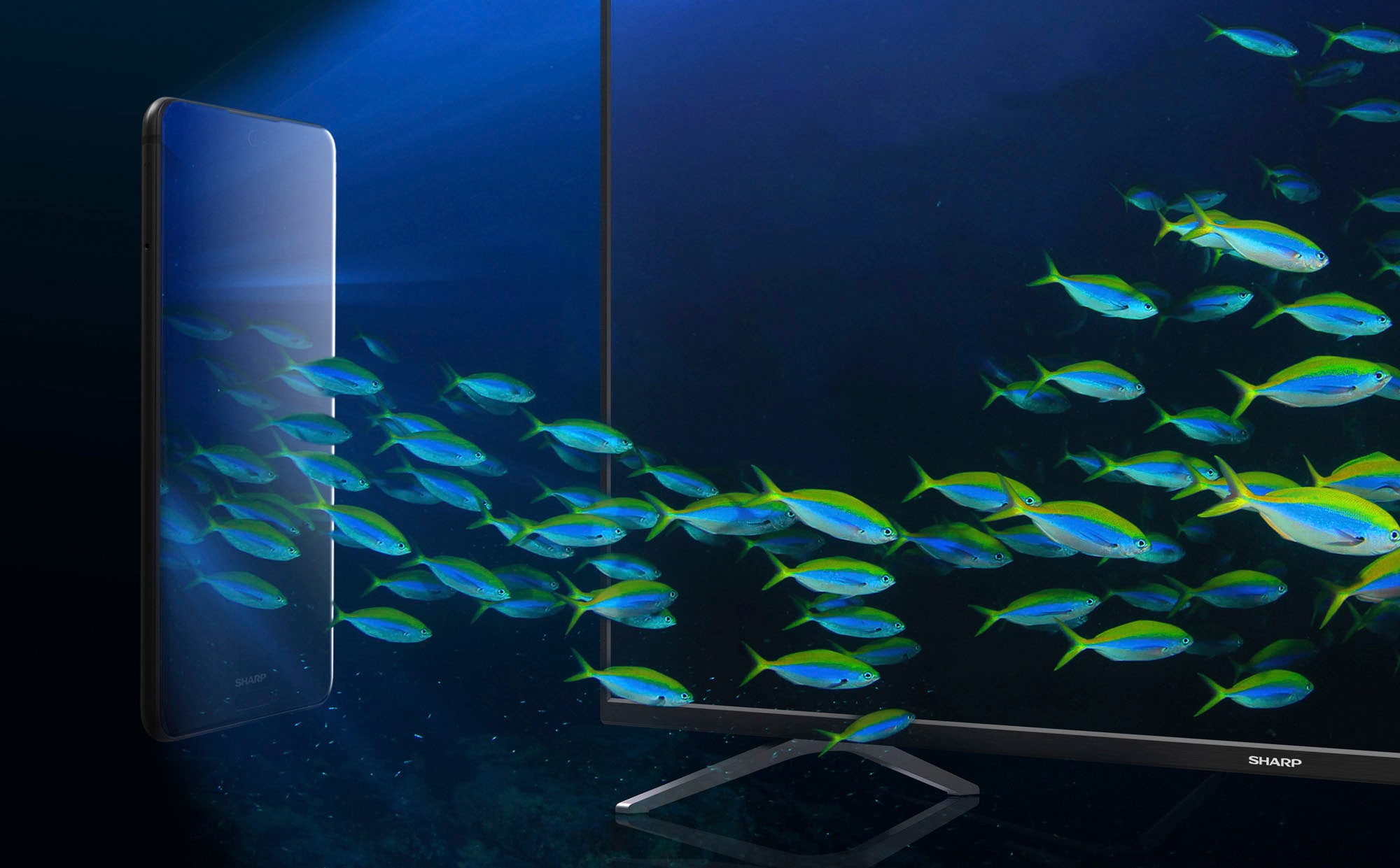 Sharp LED-Fernseher »4T-C43FK_«, 4K Ultra HD, Smart-TV