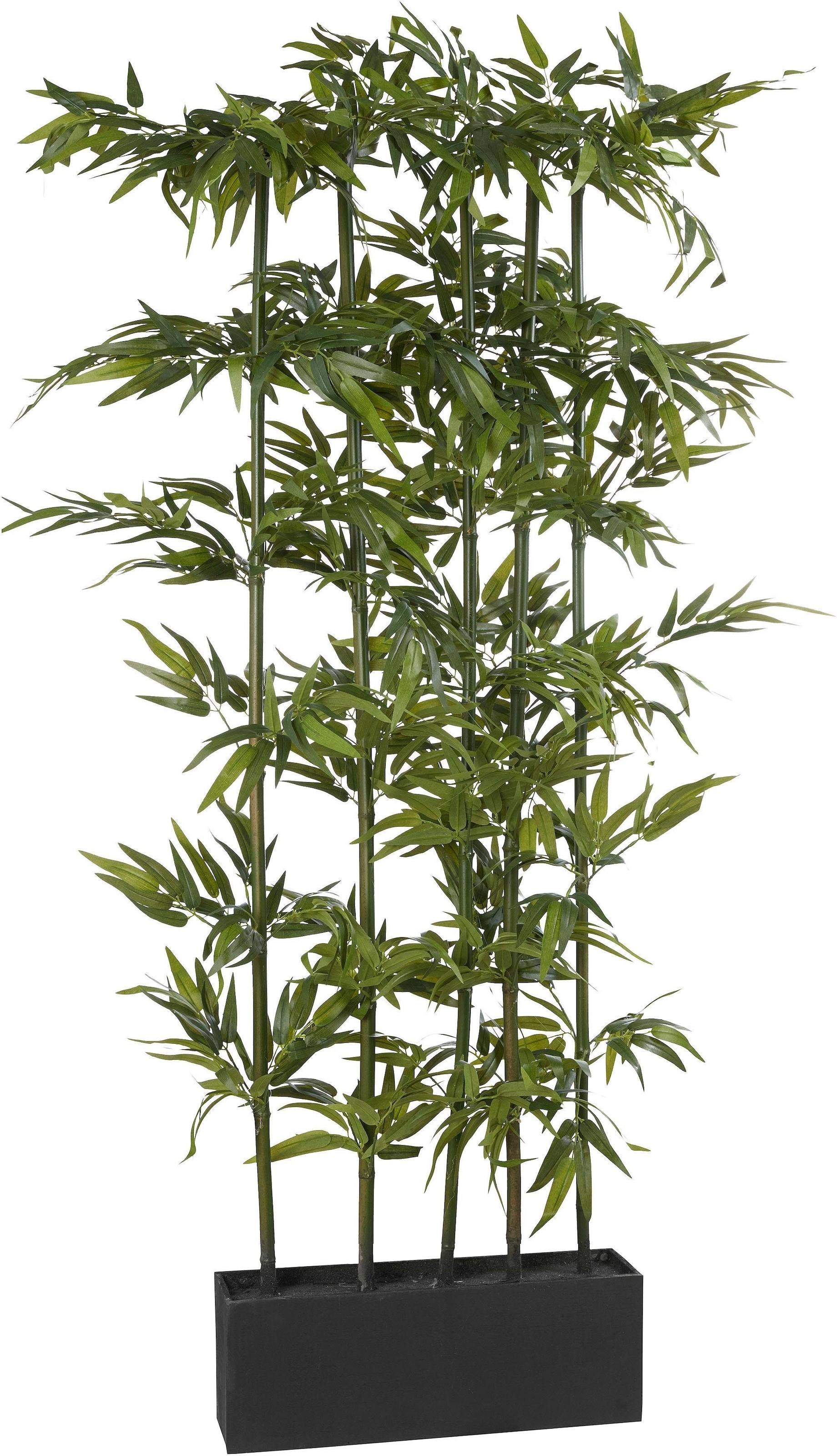 Creativ green Kunstpflanze »Bambus«