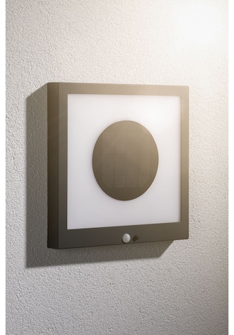 Paulmann LED Außen-Wandleuchte »Taija«, LED-Board, 1 St., Warmweiß, Solar Panel, mit... kaufen