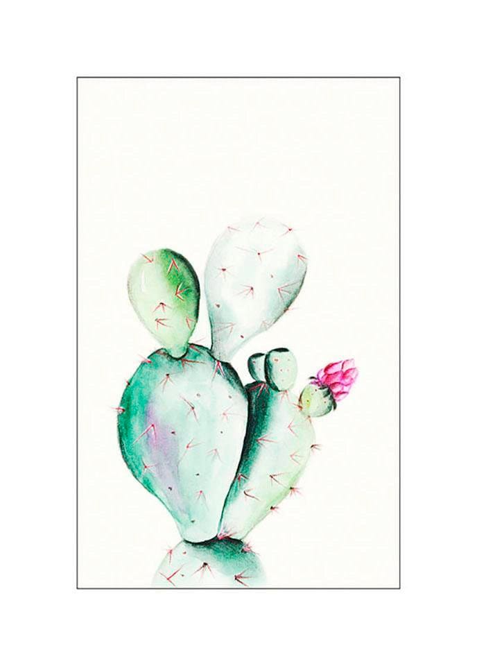 Bild KOMAR "Prickly Pear Watercolor", bunt (farbe bild(er): bunt), B:40cm H:50cm