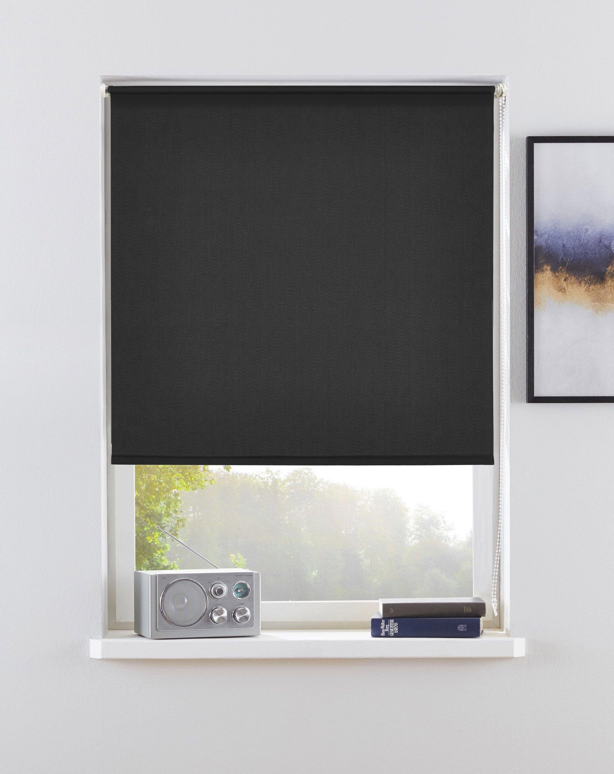 my home Seitenzugrollo »THEMSE«, abdunkelnd, energiesparend-Verdunkelung-Si günstig online kaufen