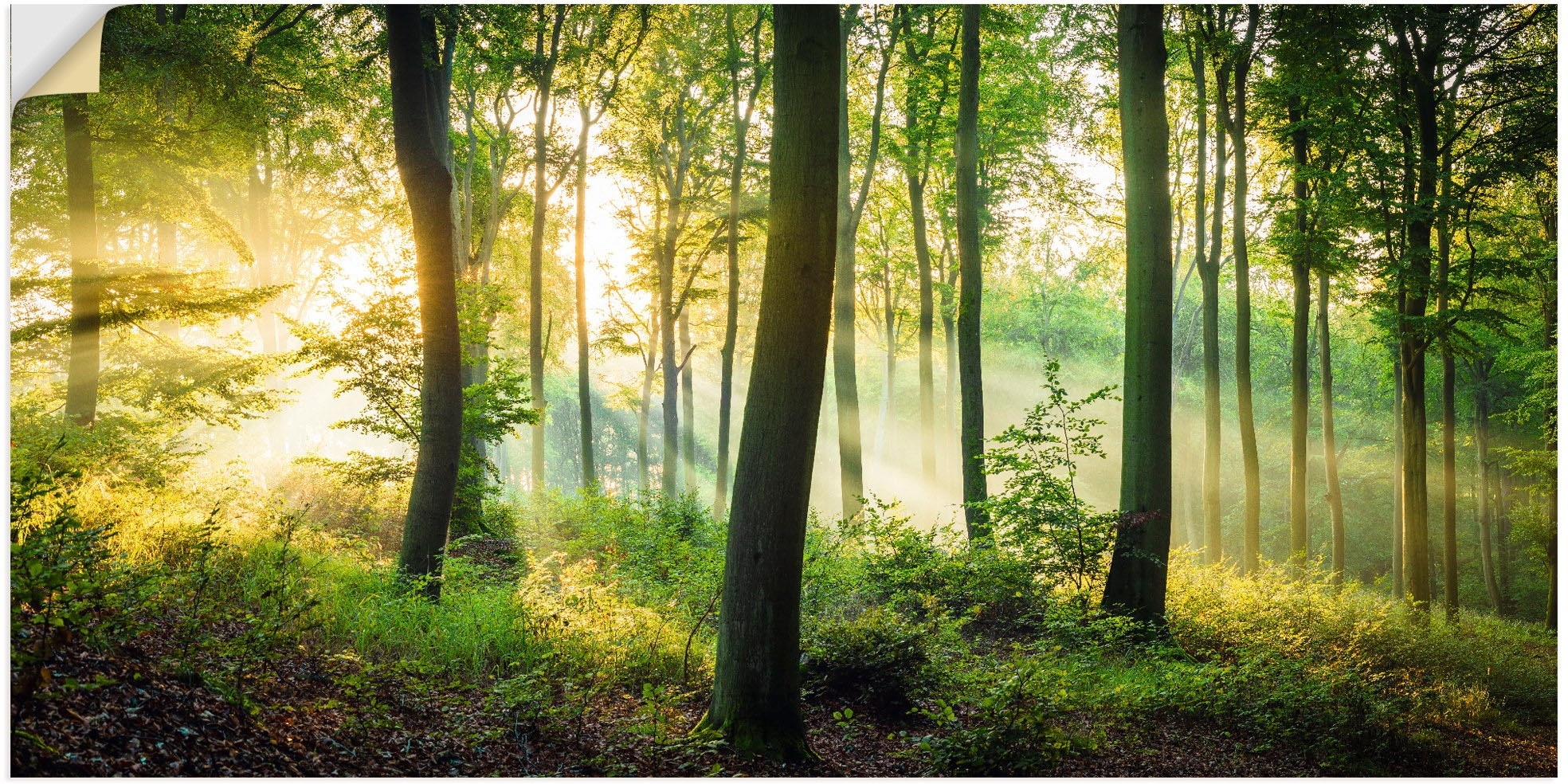 Artland Wandbild »Herbst im Wald II«, Waldbilder, (1 St.), als Alubild, Out günstig online kaufen