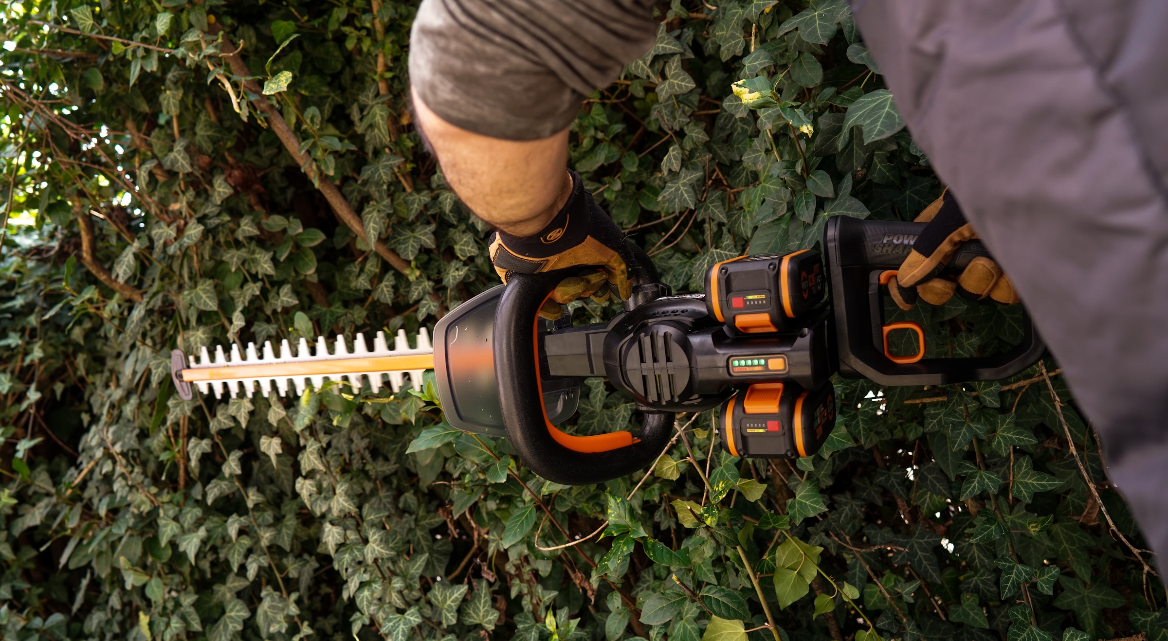Worx Akku-Heckenschere »WG286E.9 Nitro Profi«, 58 cm Schnittlänge, 27 mm Zahnabstand, ohne Akku und Ladegerät
