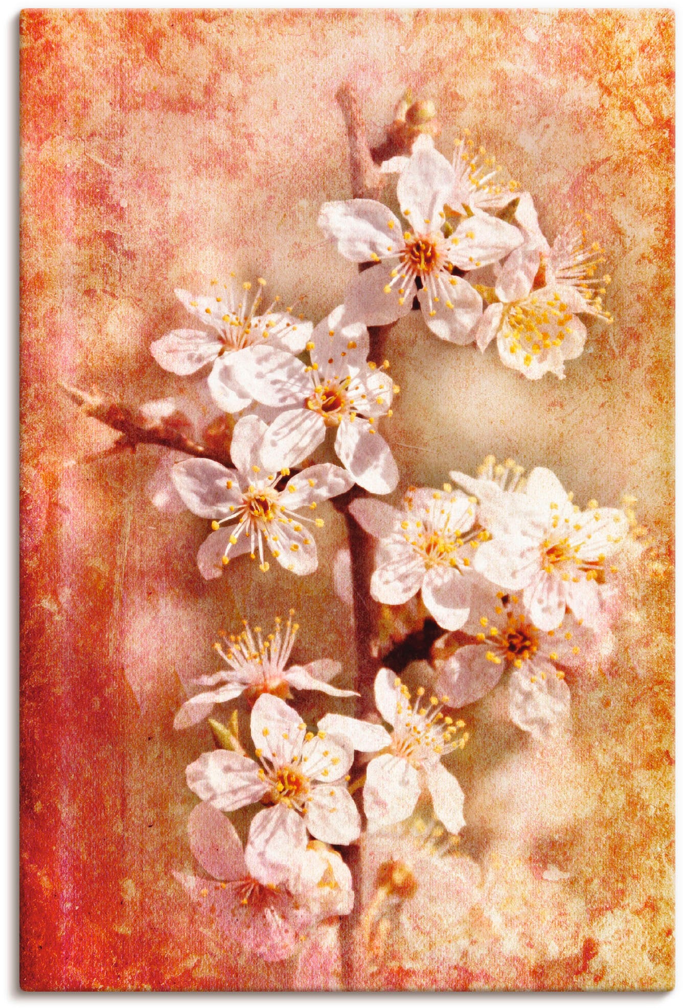 Artland Wandbild »Kirschblüten« 1 Stk. tlg. als Leinwandbild, Poster in ver günstig online kaufen