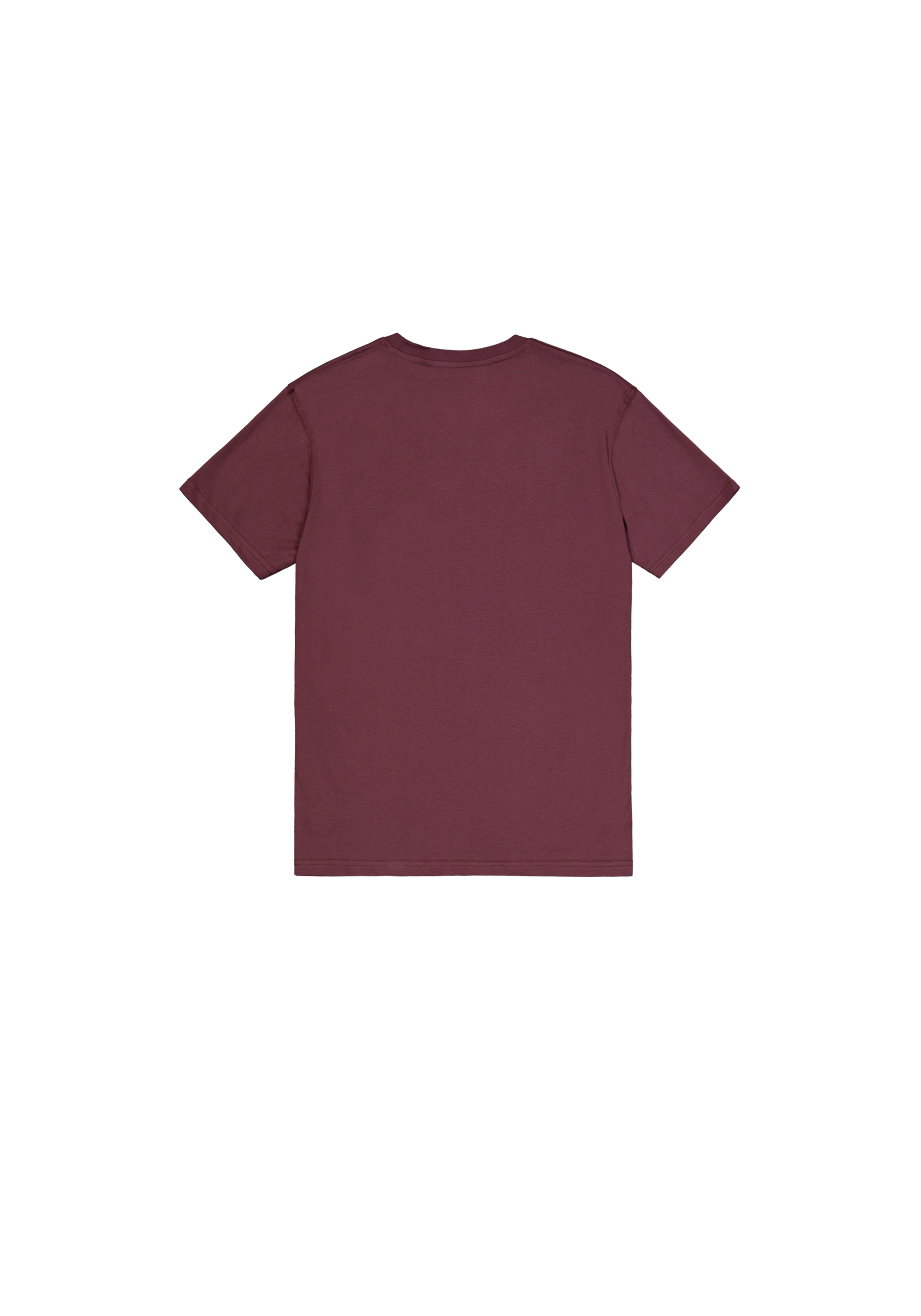 Alpha Industries T-Shirt »Basic T-Shirt SL«