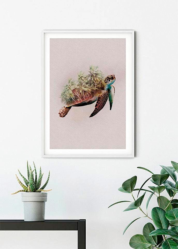 Komar Bild »Animals Paradise Turtle« Tiere 1 Stk. tlg. Wandbild zur Dekoration - ohne Rahmen