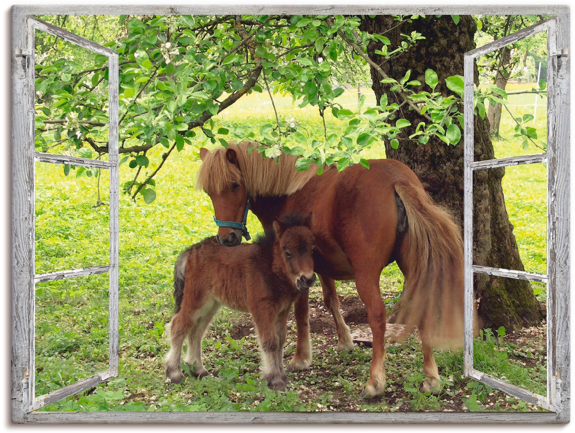 Artland Wandbild "Fensterblick - Pony mit Kind", Haustiere, (1 St.), als Le günstig online kaufen