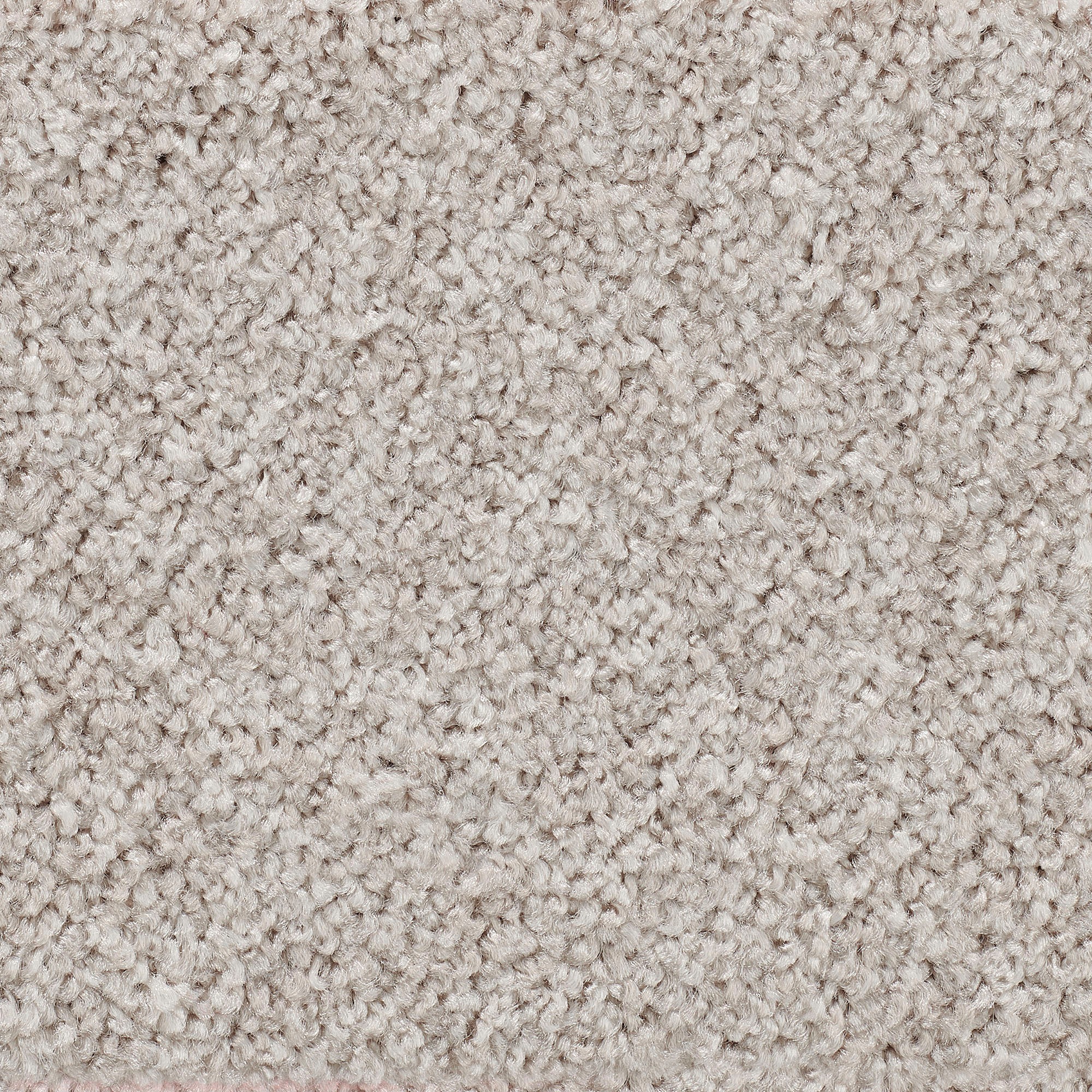Vorwerk Teppichboden »Passion 1055, Velours - Uni Farben, Made in Germany«, günstig online kaufen
