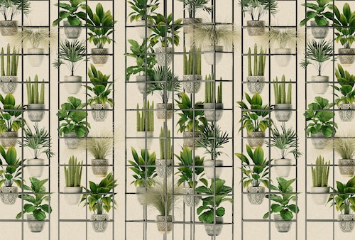 living walls Fototapete »Walls by Patel Plant Shop«, Vlies, Wand günstig online kaufen