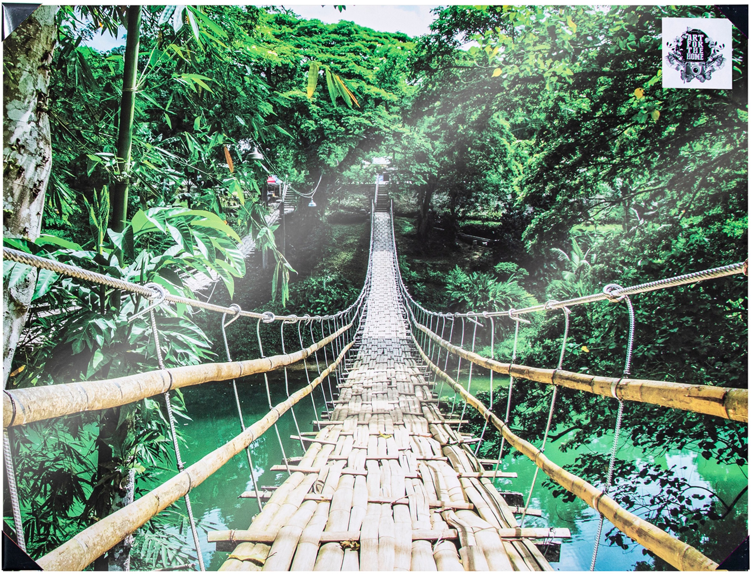 Art for the home Leinwandbild »Classique Jungle«, Pflanzen, 100x75cm